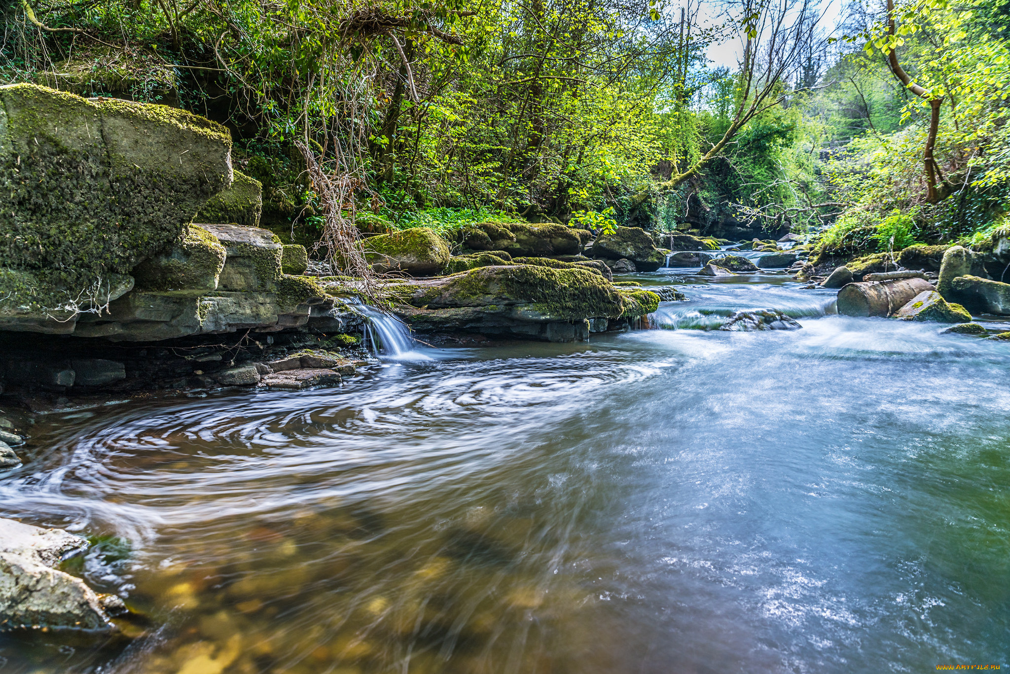 природа, реки, озера, лес, река
