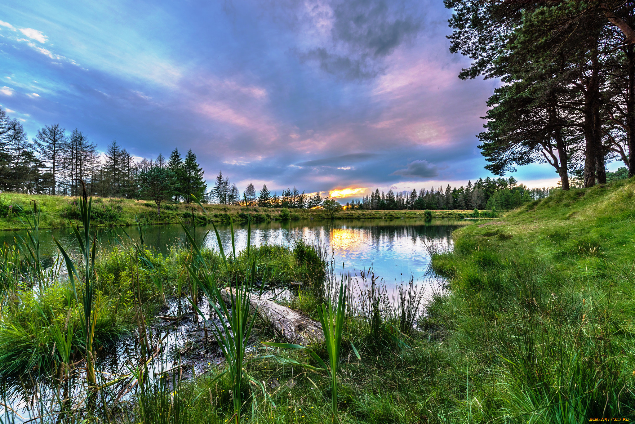 природа, реки, озера, река, лес