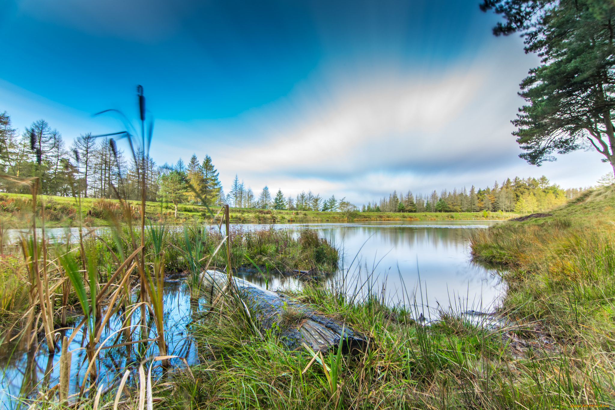 природа, реки, озера, река, лес