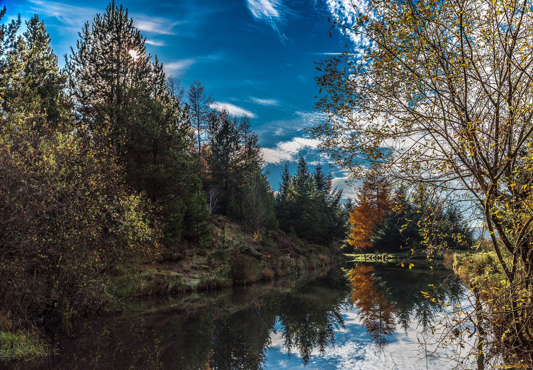 природа, реки, озера, река, лес