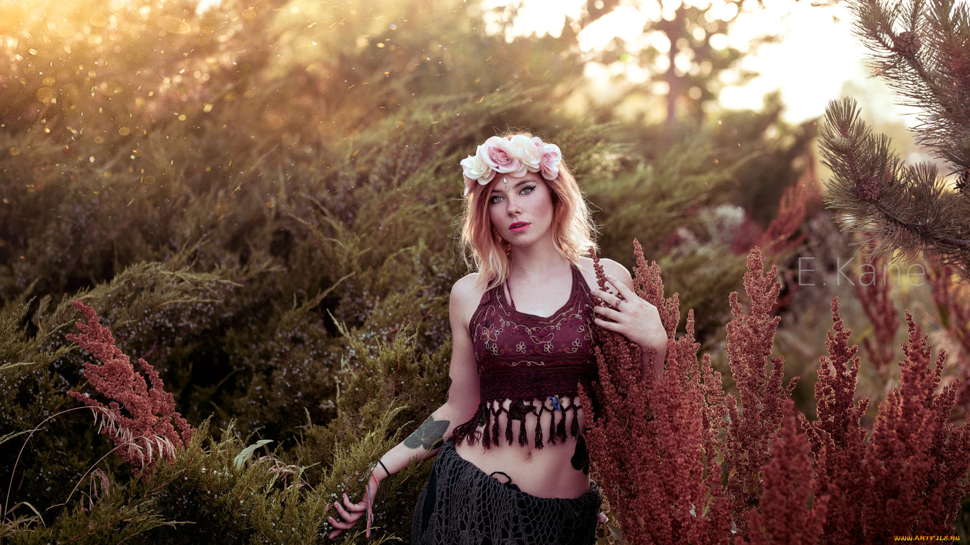 девушка, девушки, -unsort, , блондинки, , светловолосые, модель