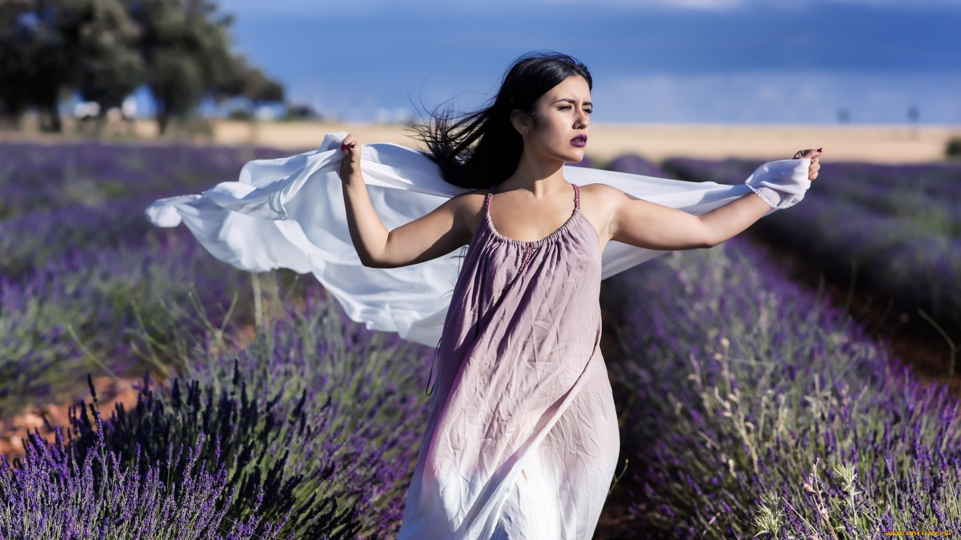 девушки, -unsort, , брюнетки, темноволосые, поле, брюнетка, шаль, сарафан, ветер, лаванда