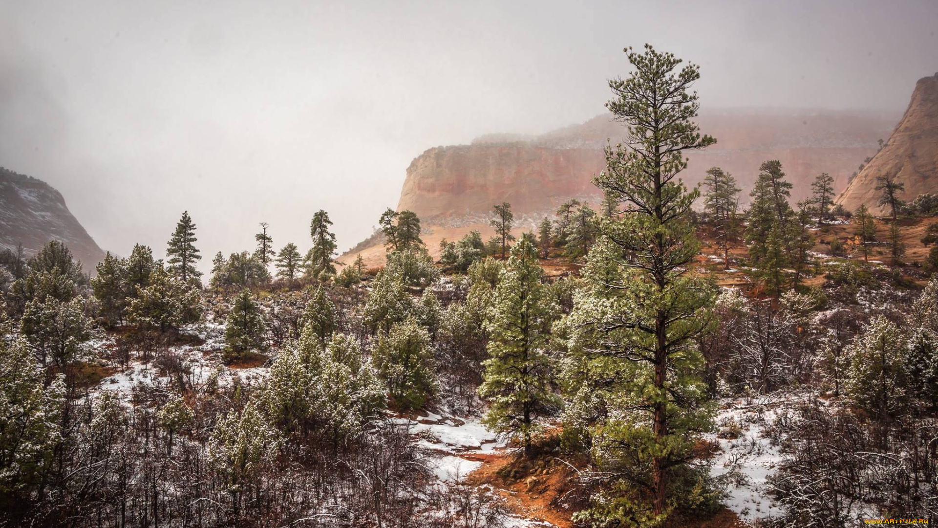 природа, горы, простор