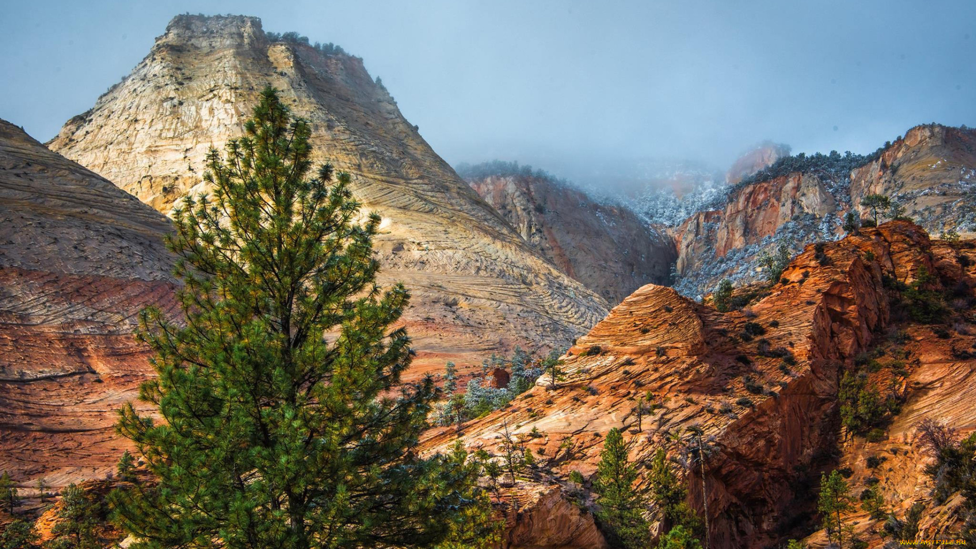 природа, горы, простор