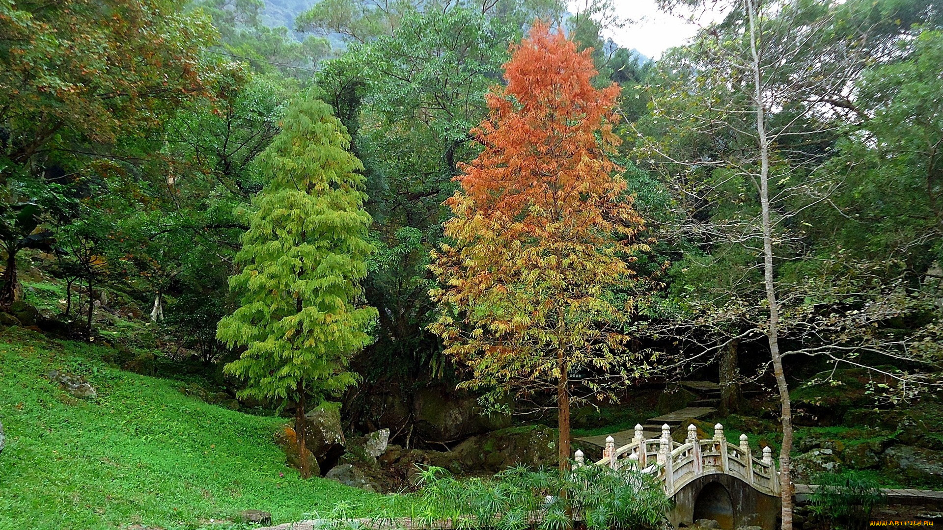 природа, парк, аллея, водоем, мостик, осень