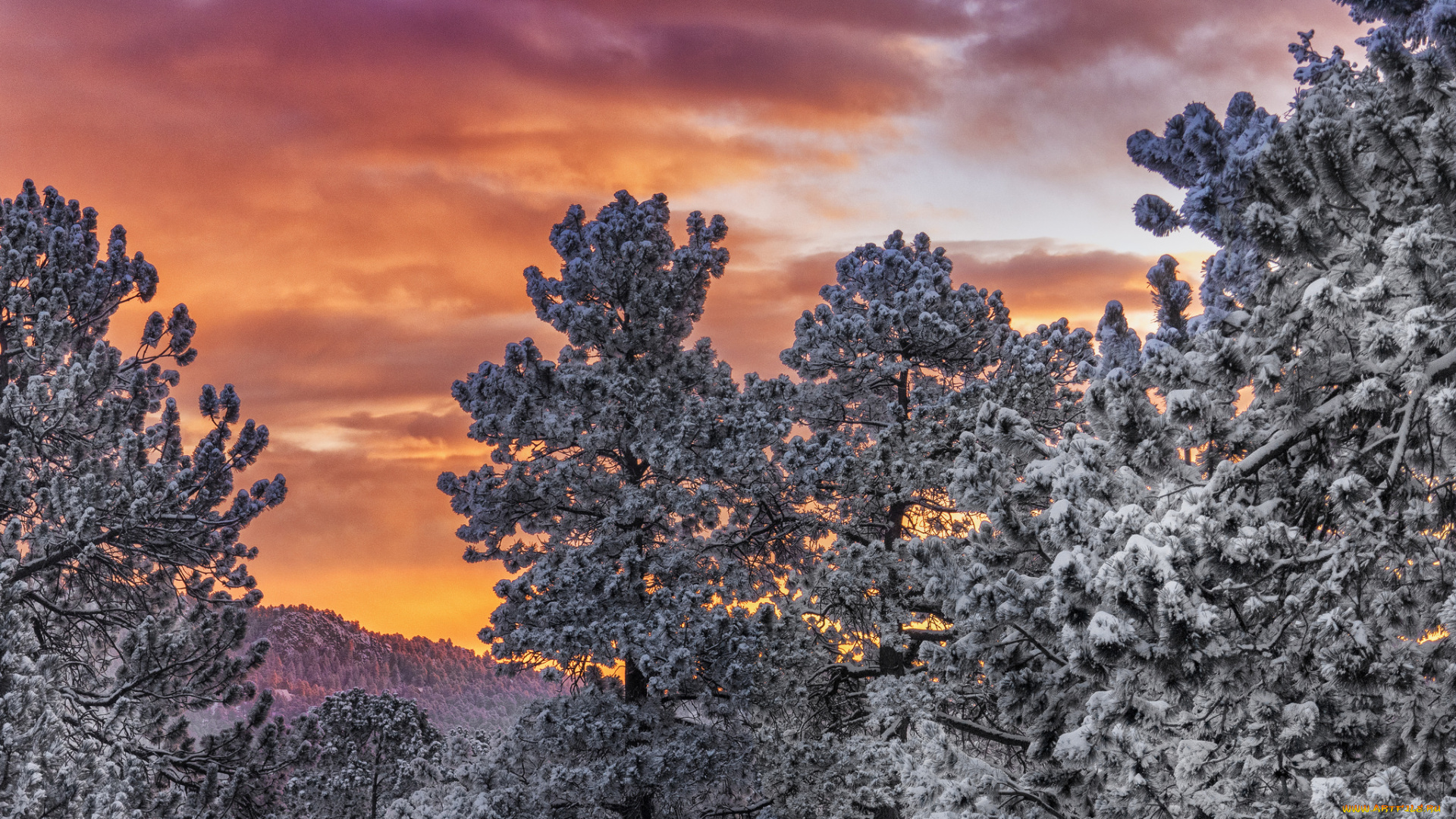 природа, пейзажи, простор