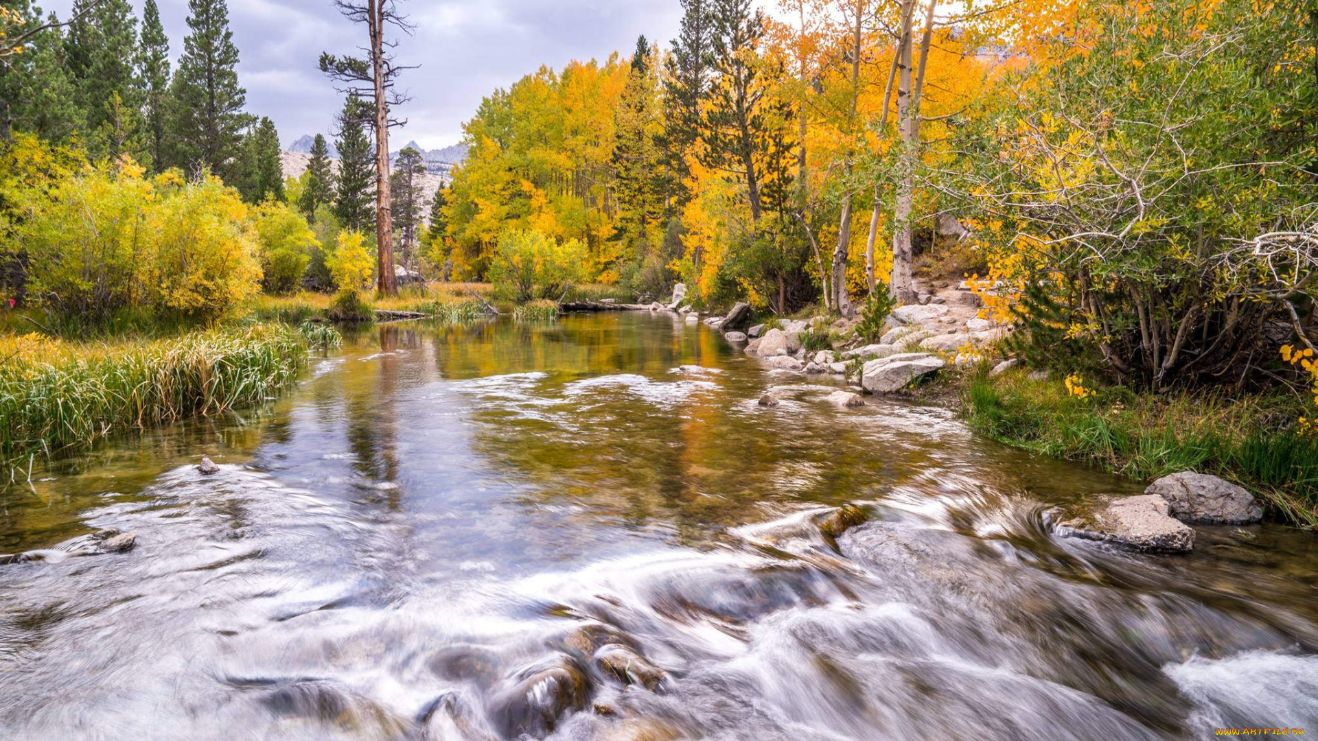 природа, реки, озера, простор