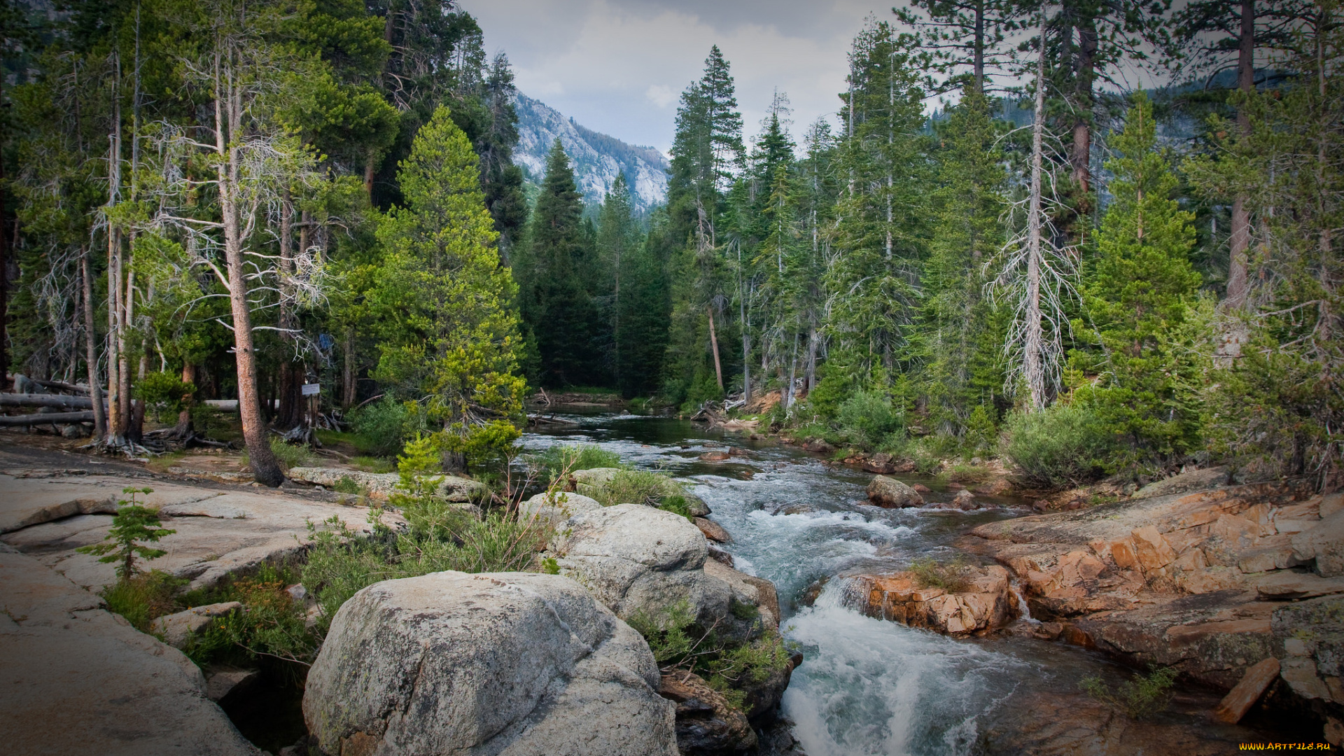 природа, реки, озера, простор