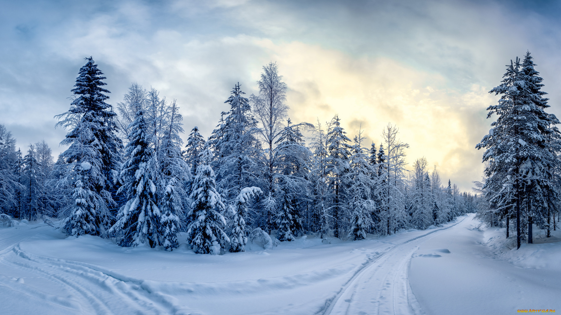 природа, зима, простор