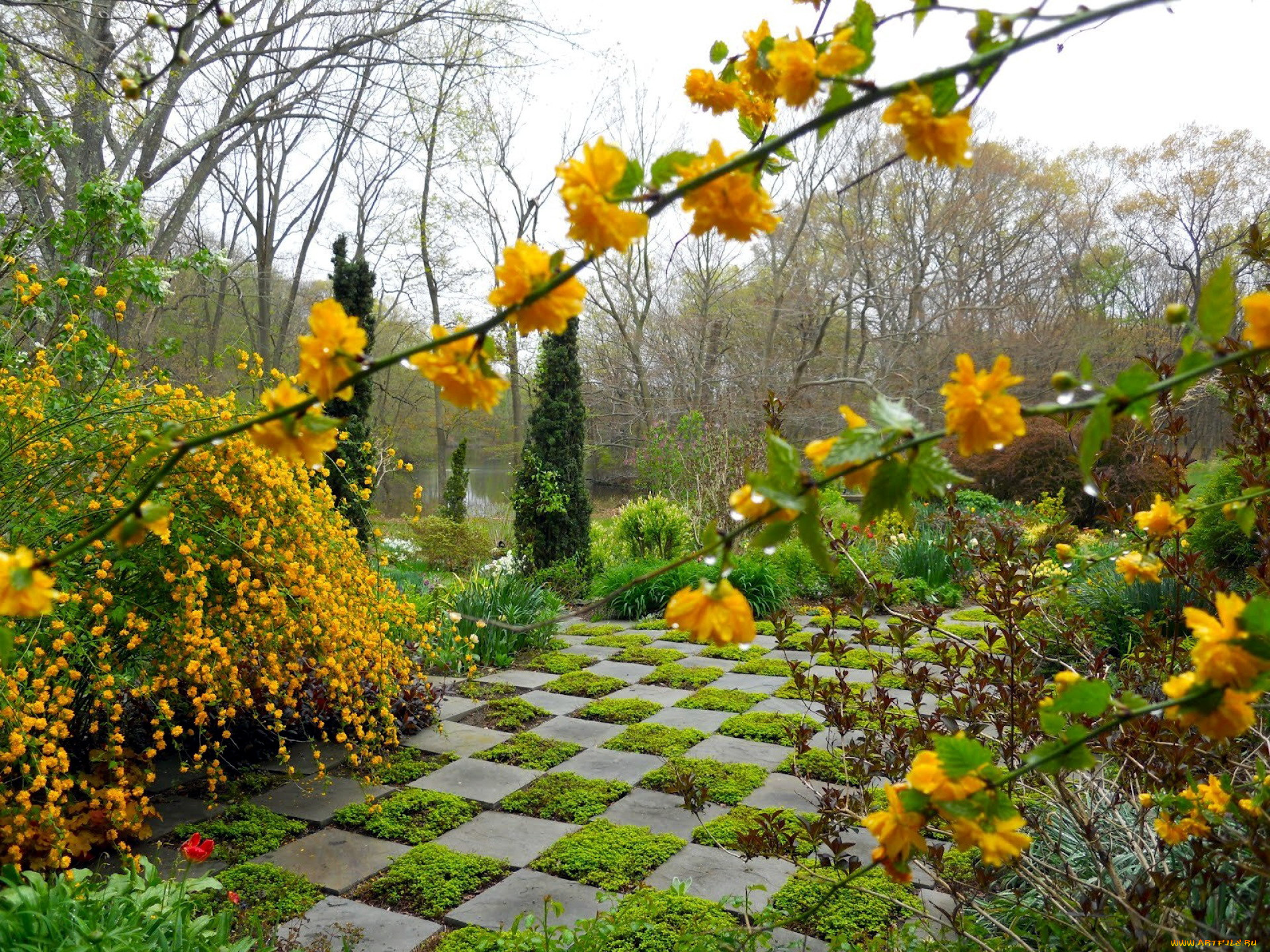 природа, парк, цветы, весна