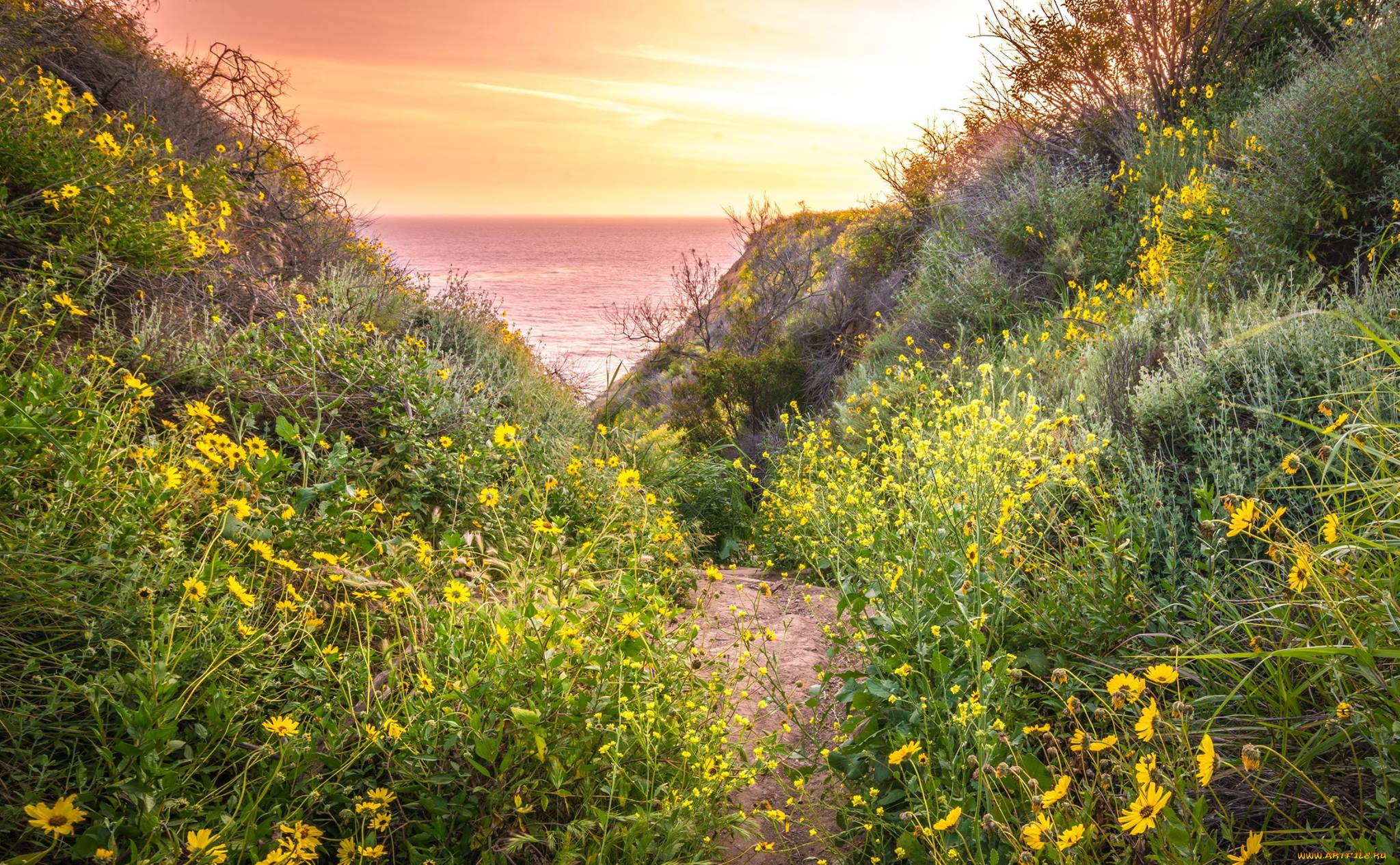 природа, побережье, простор