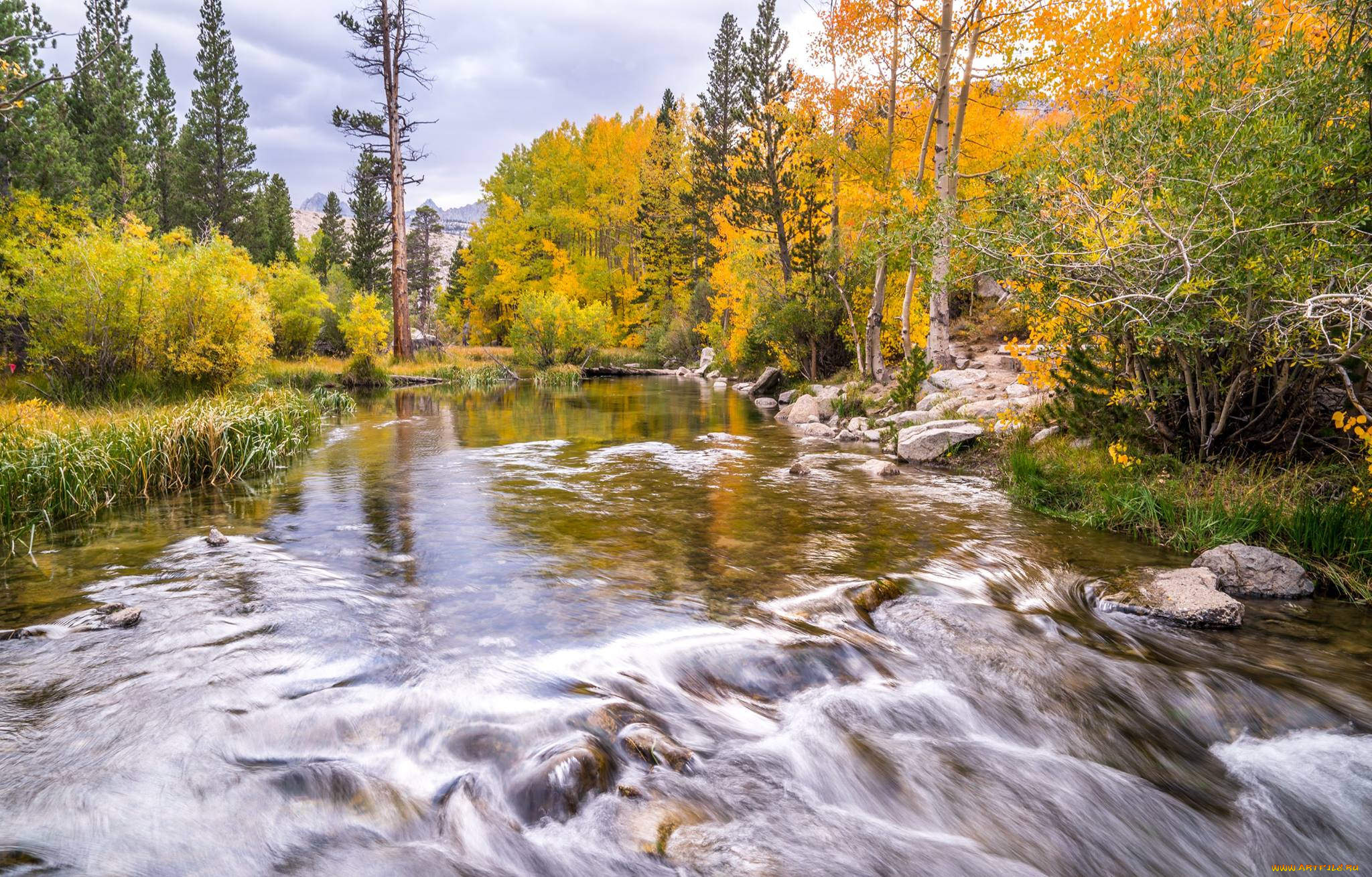 природа, реки, озера, простор