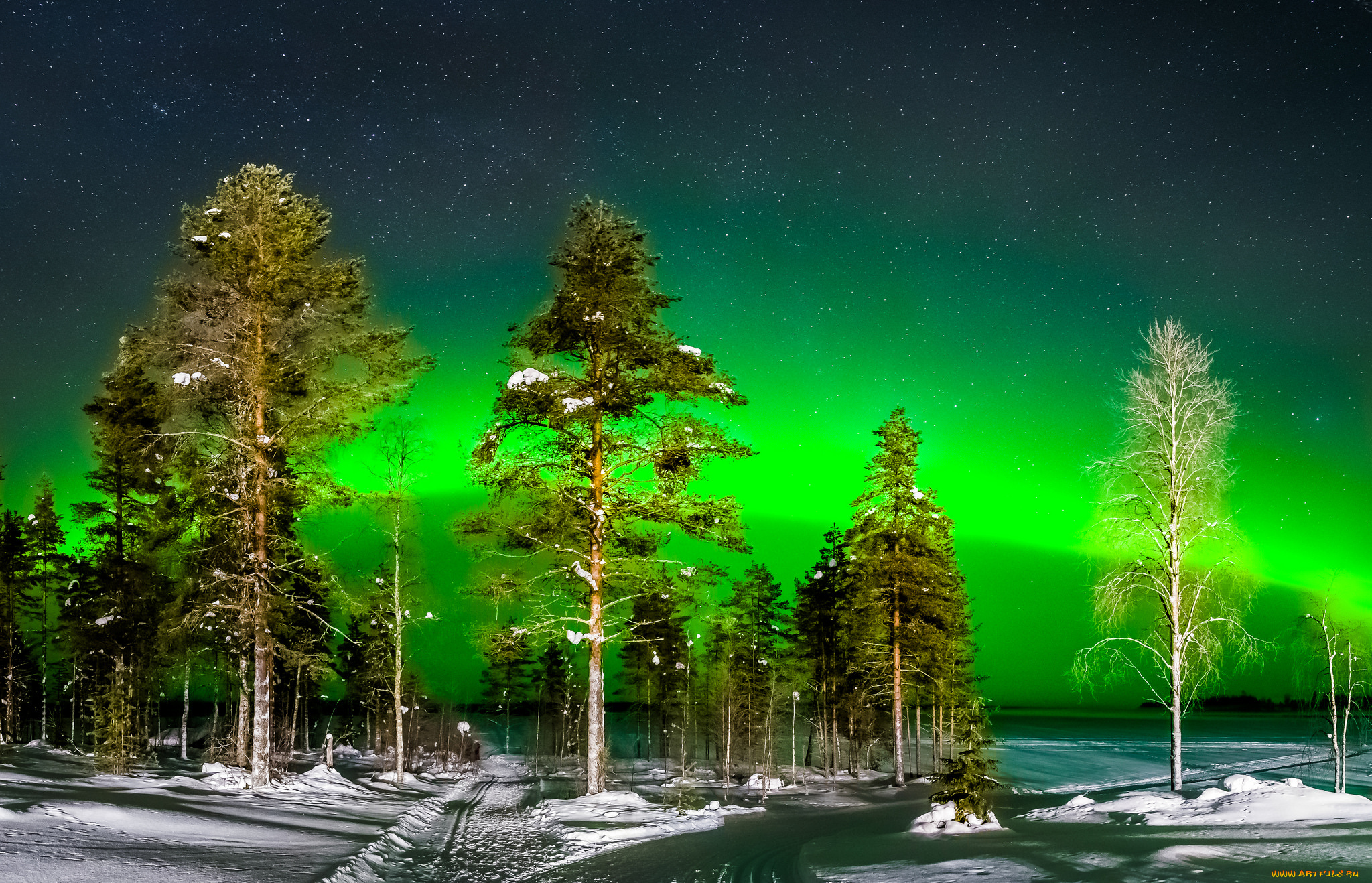 природа, зима, простор