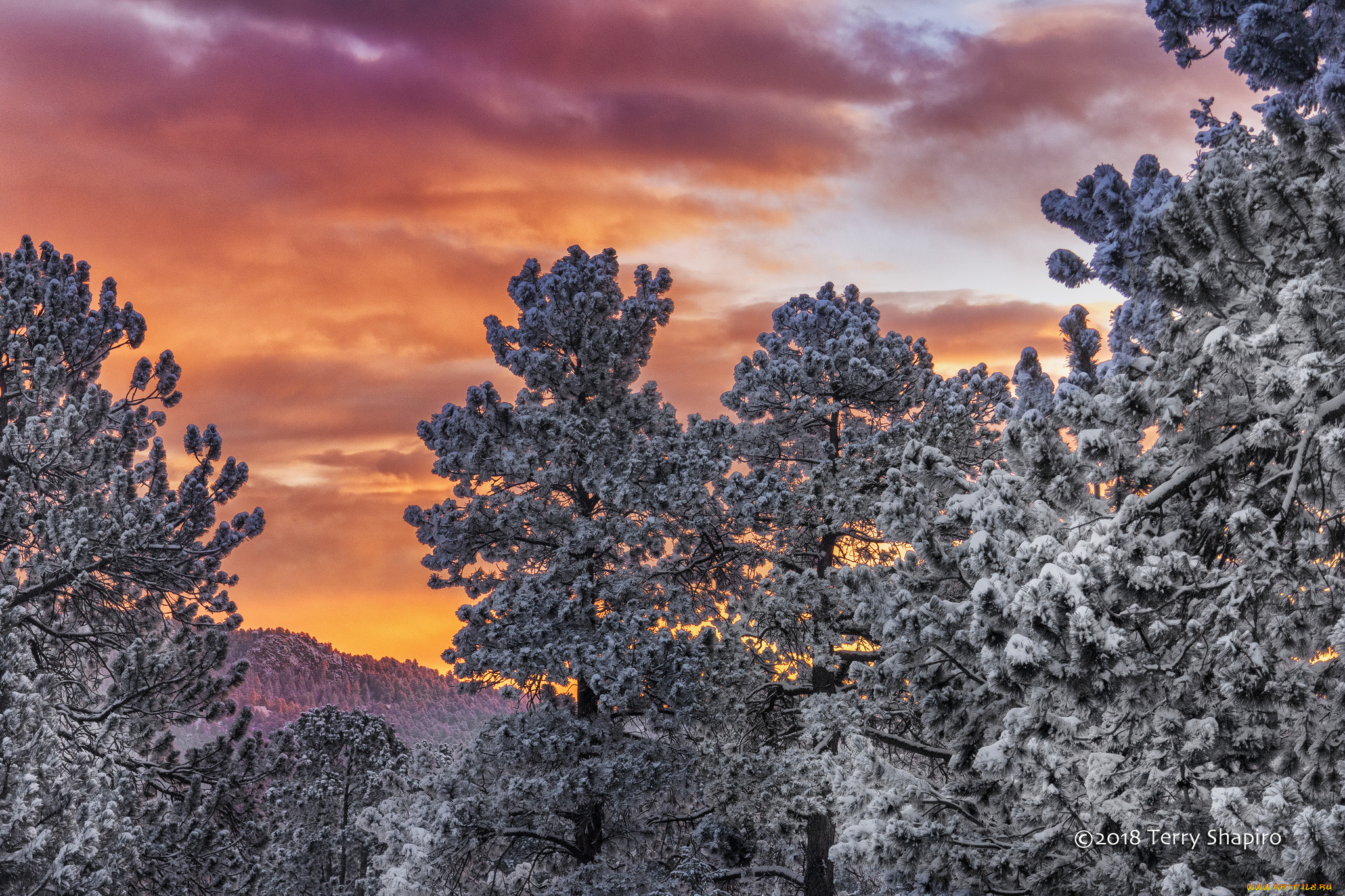 природа, пейзажи, простор