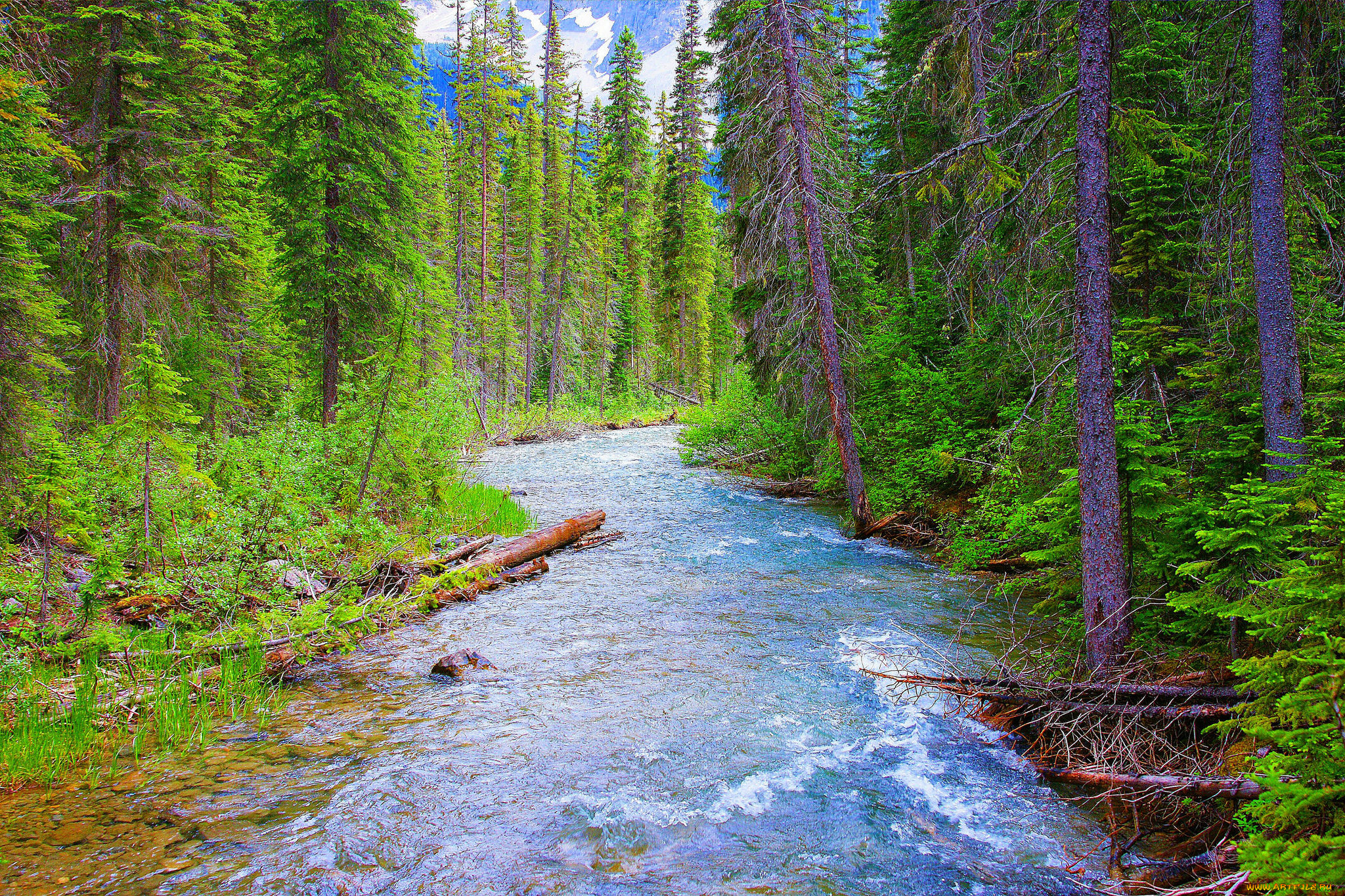 природа, реки, озера, простор