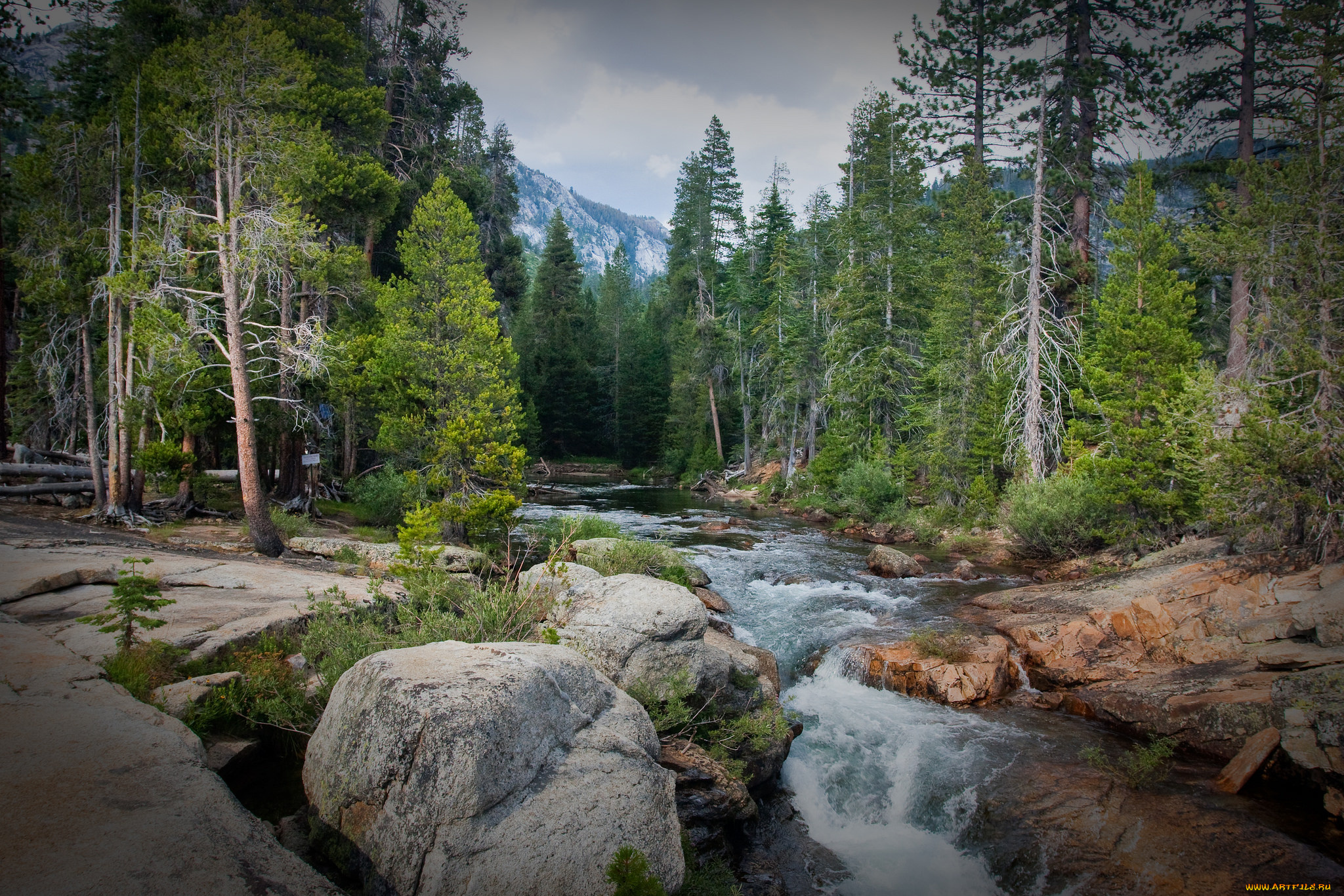 природа, реки, озера, простор