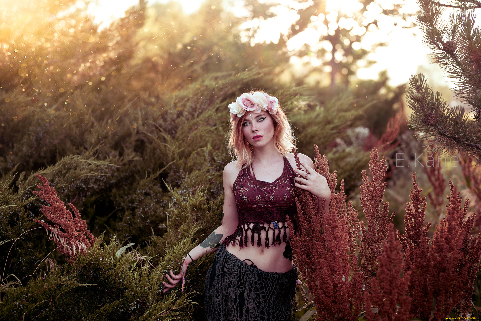 девушка, девушки, -unsort, , блондинки, , светловолосые, модель