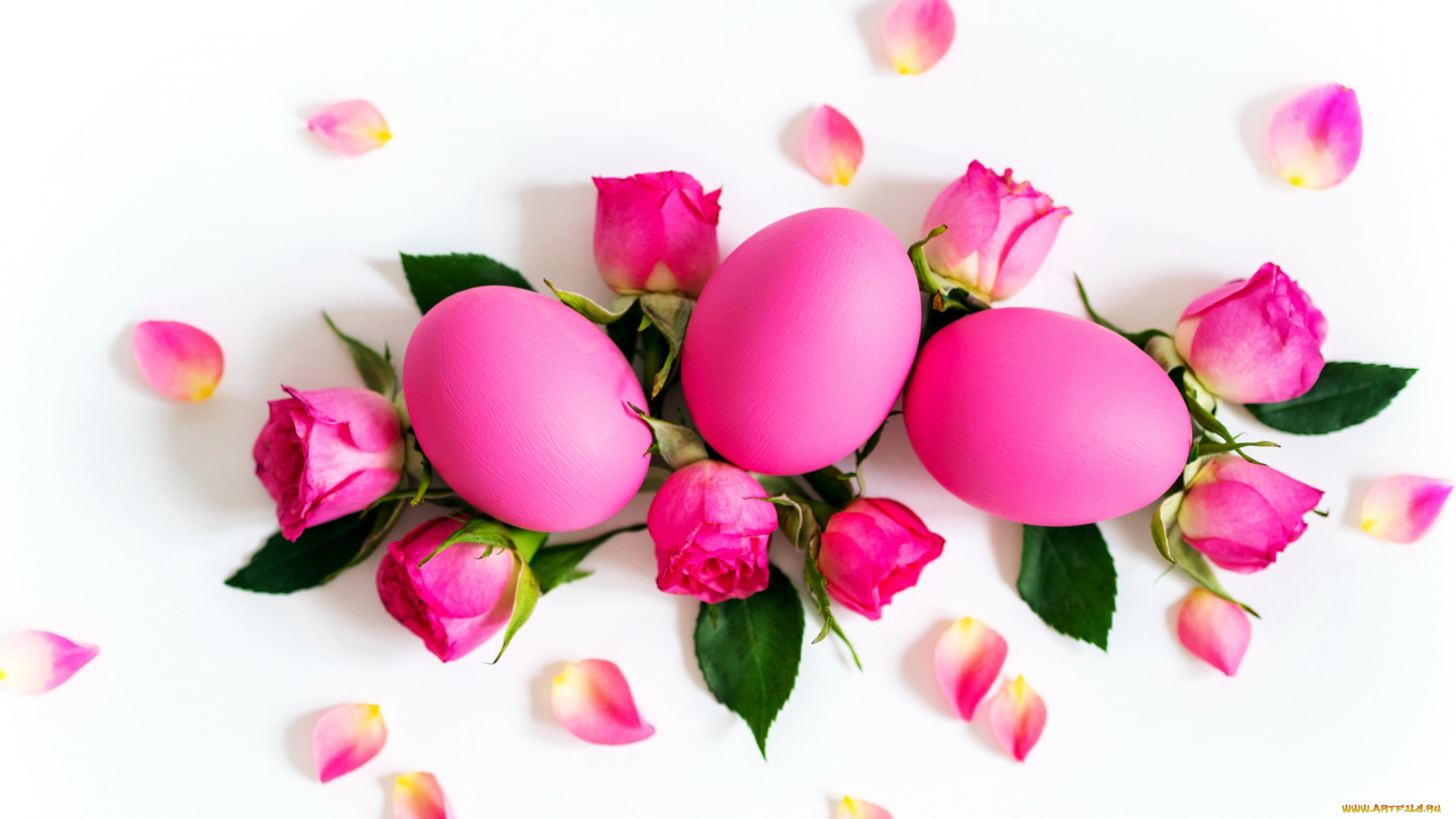 праздничные, пасха, бутоны, розы, крашенки