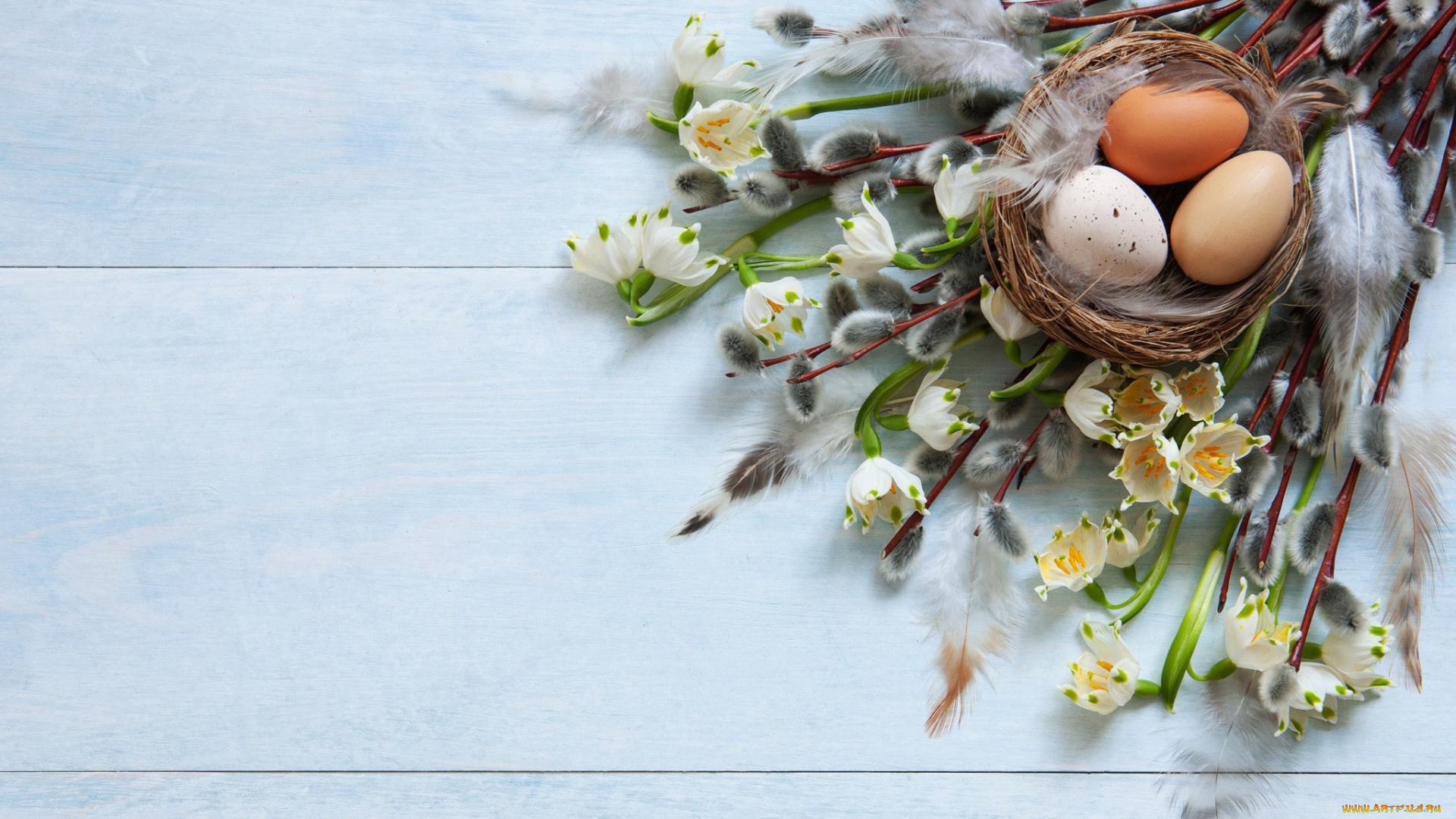 праздничные, пасха, перышки, верба, гнездо