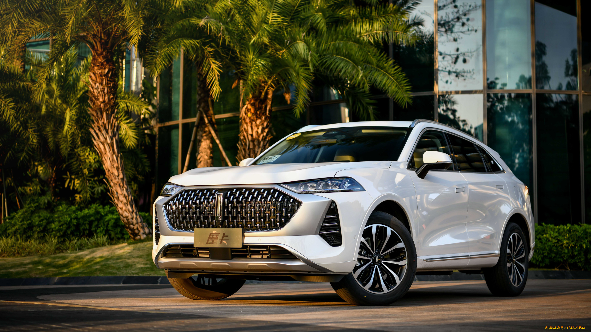 автомобили, wey