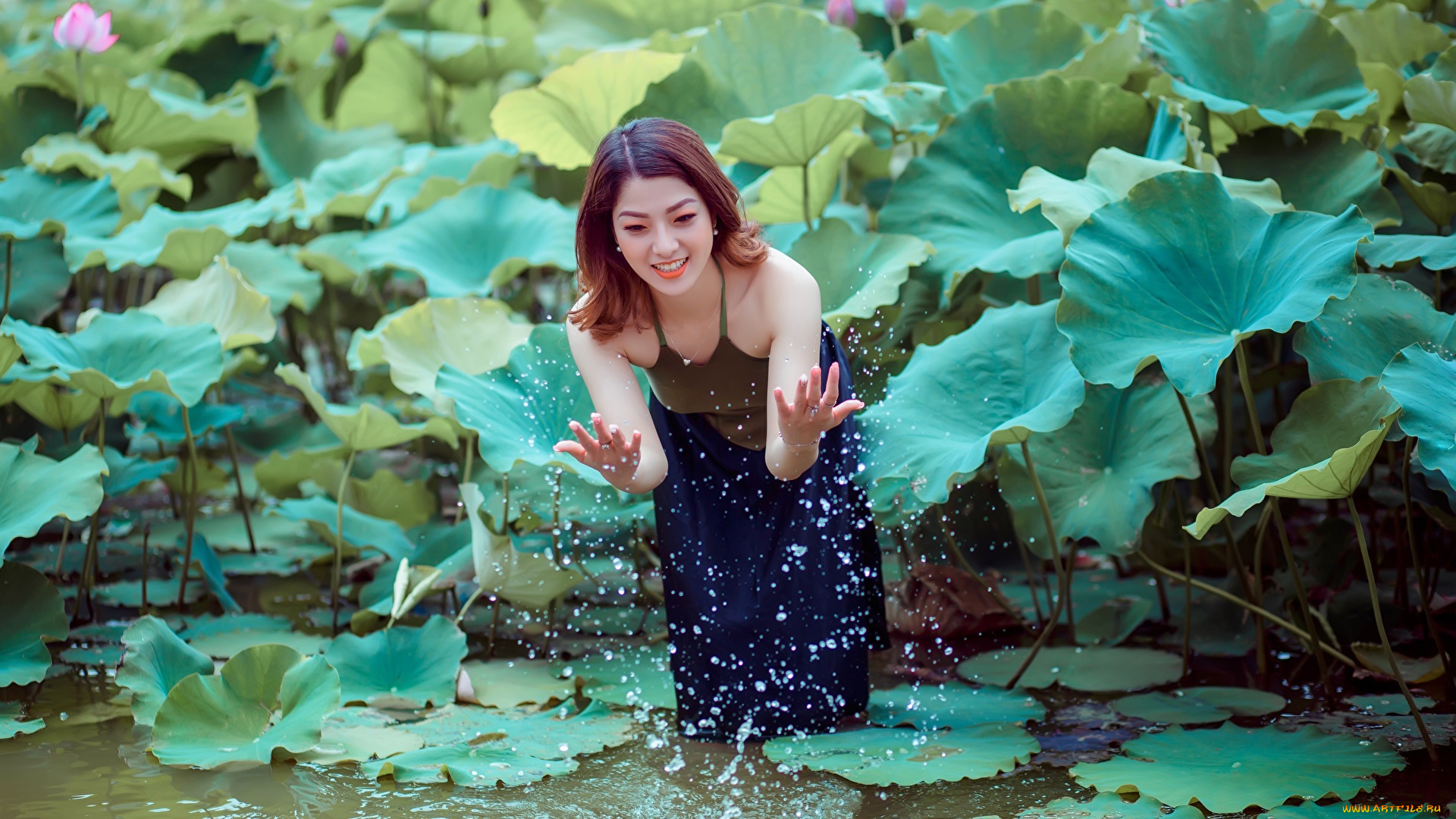 девушки, -, азиатки, азиатка, лотосы, вода, листья