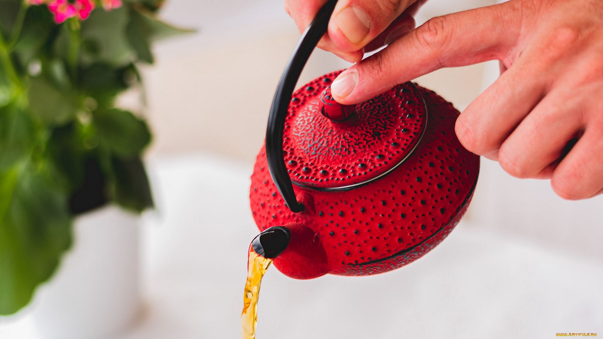 еда, напитки, , чай, заварник, чай, струя