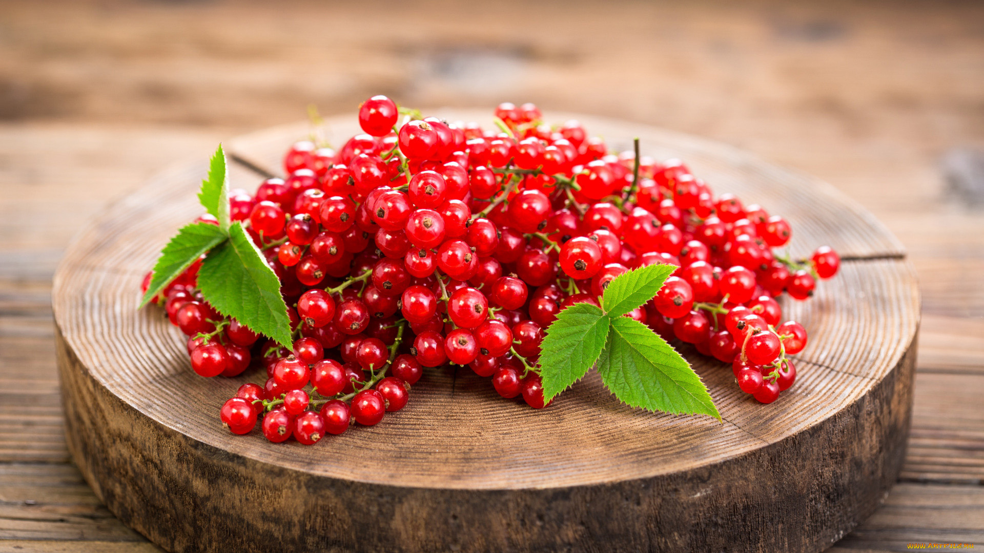 еда, смородина, ягоды, красная