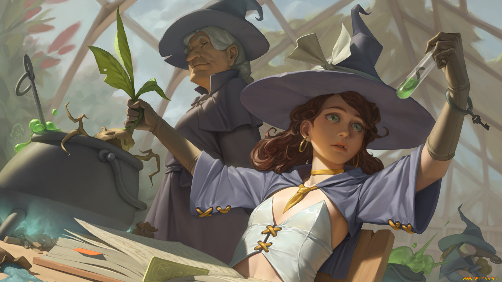 фэнтези, маги, , волшебники, ведьмы, пробирка, книга, котел, зелье