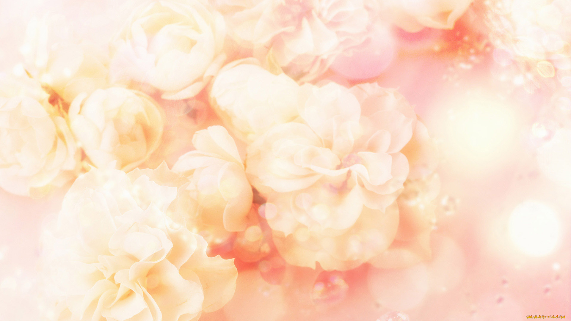 разное, компьютерный, дизайн, цветы