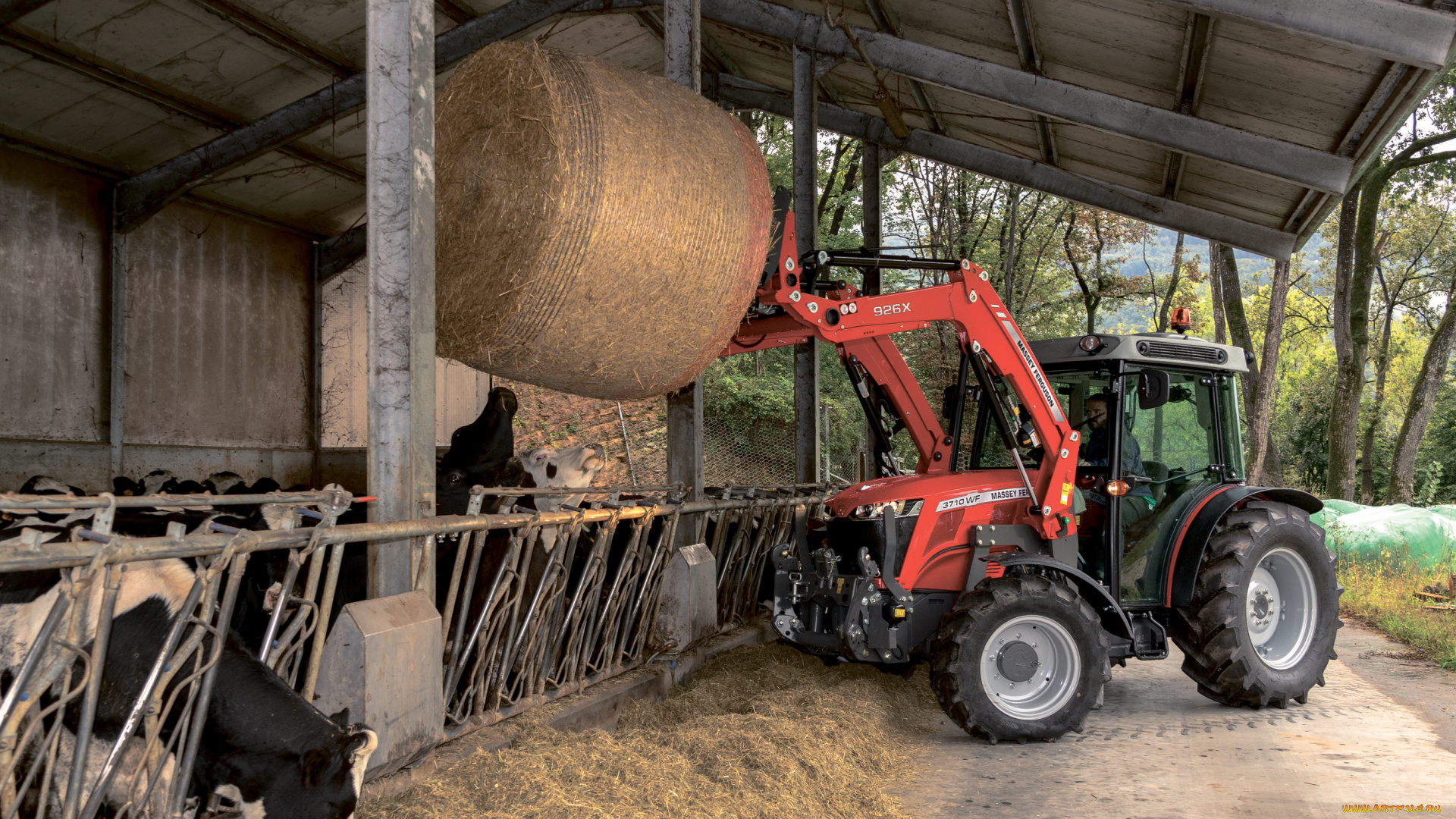 техника, фронтальные, погрузчики, massey, ferguson