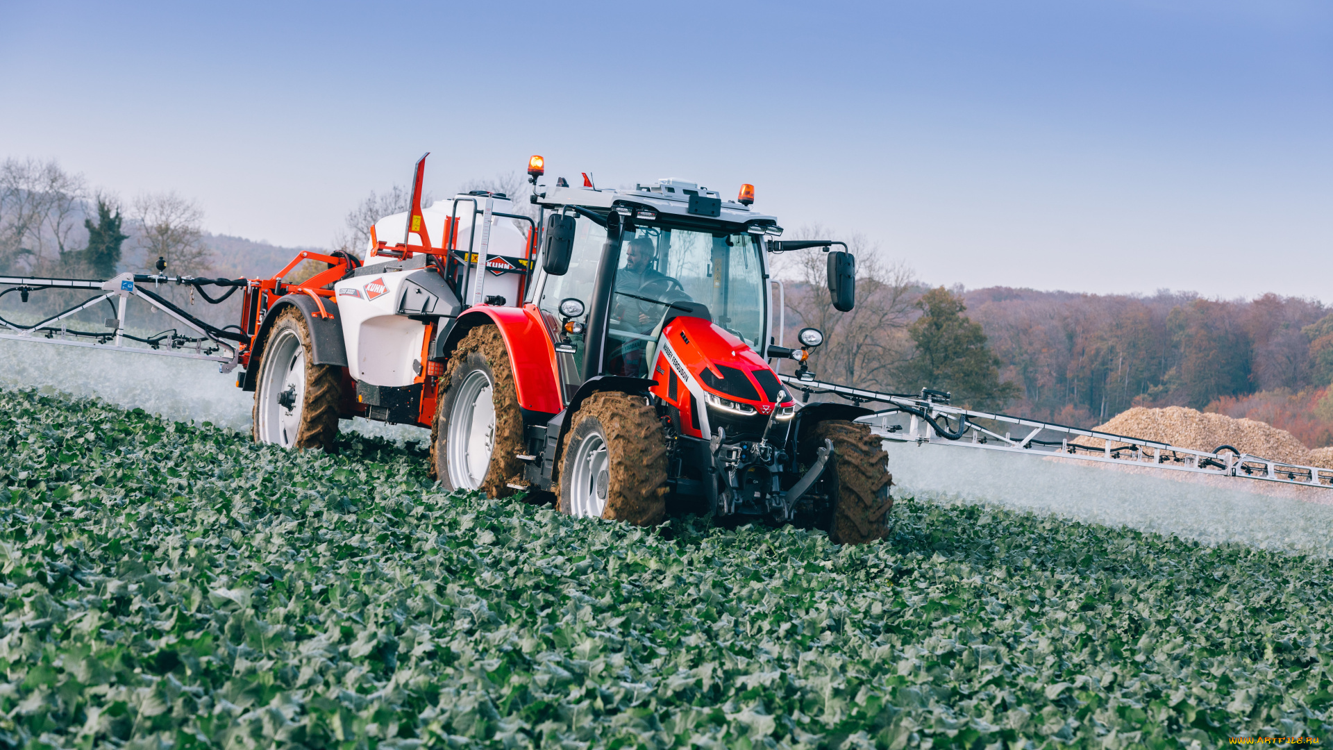 техника, тракторы, massey, ferguson