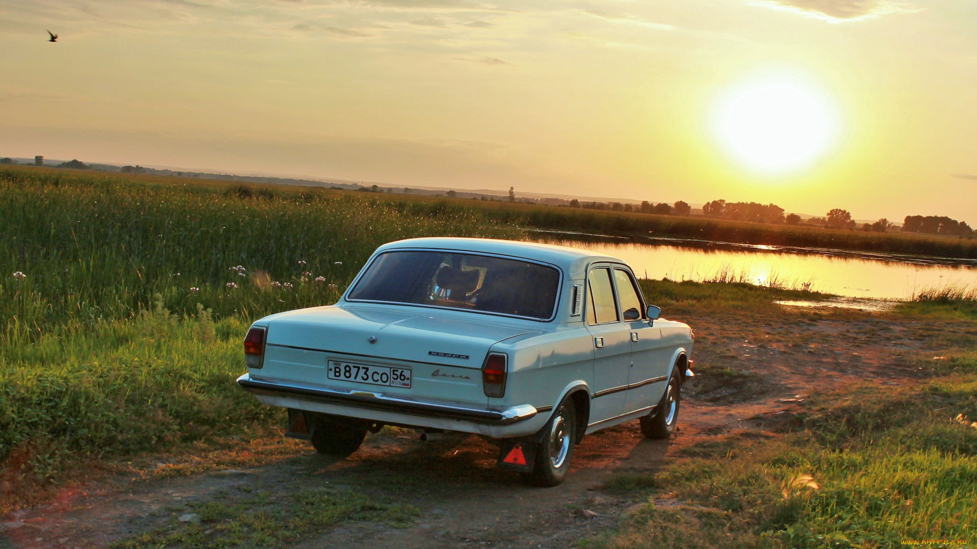 волга, газ-, 24, автомобили, газ, волга, газ-, 24, автомобиль, классика