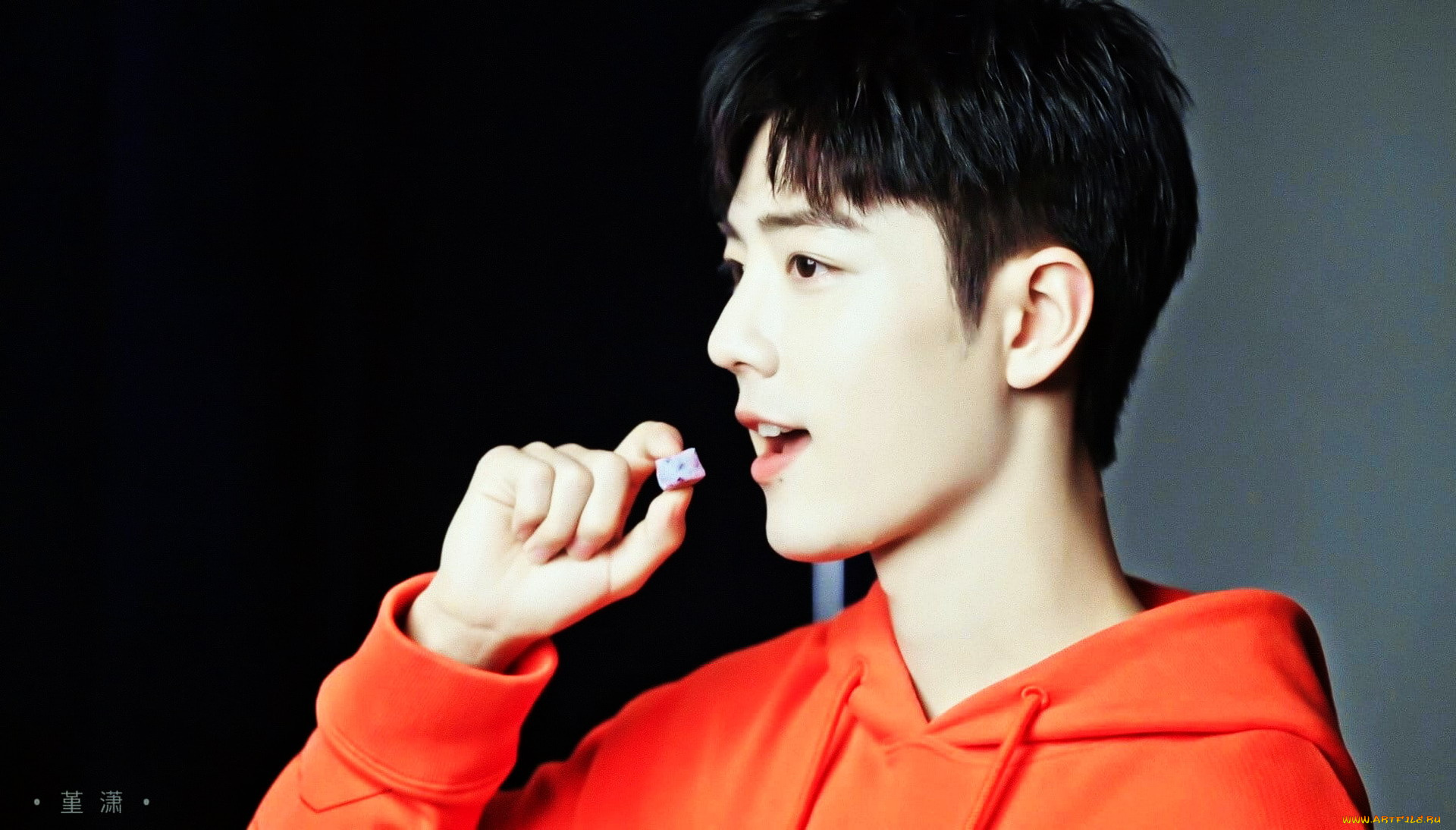 мужчины, xiao, zhan, актер, лицо, толстовка