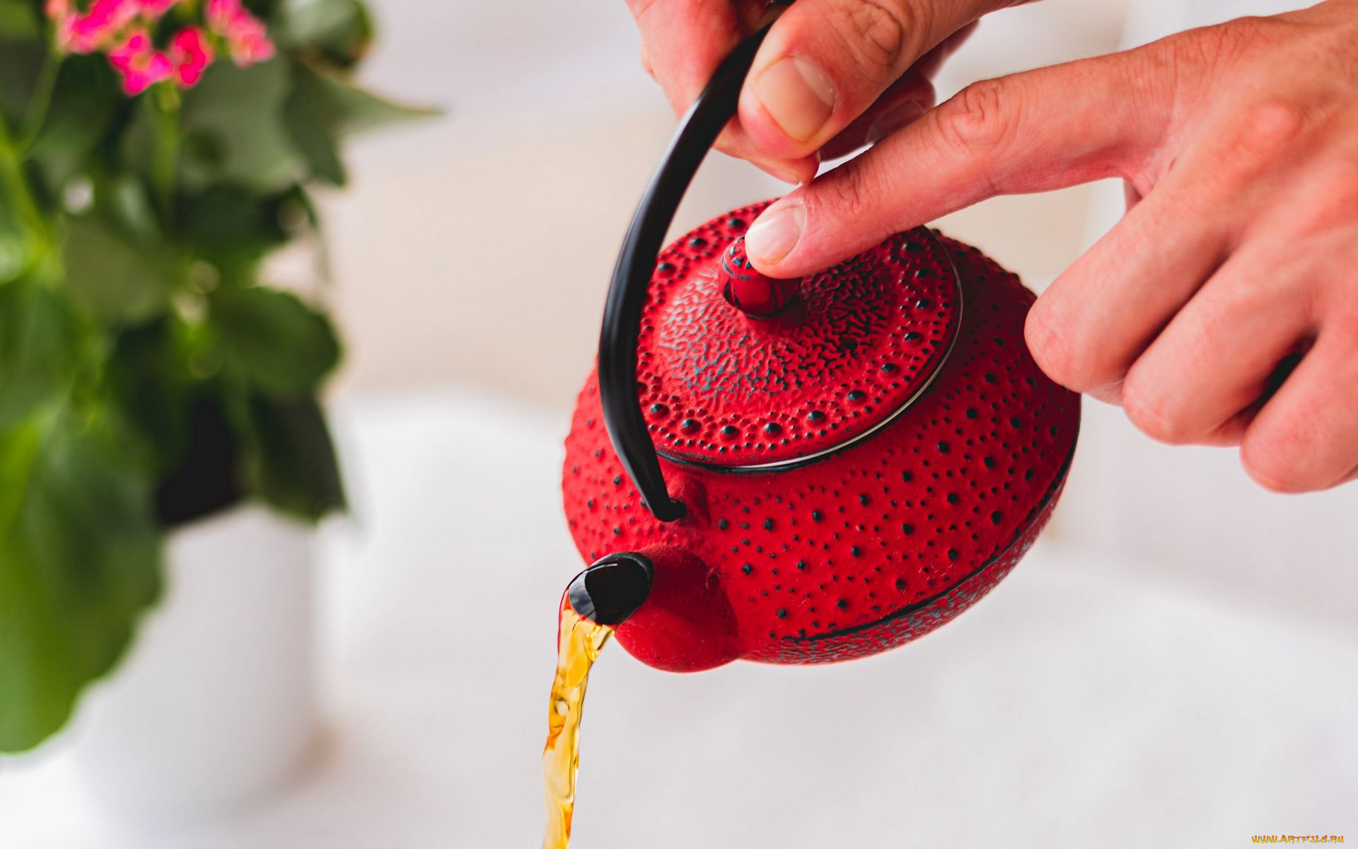 еда, напитки, , чай, заварник, чай, струя