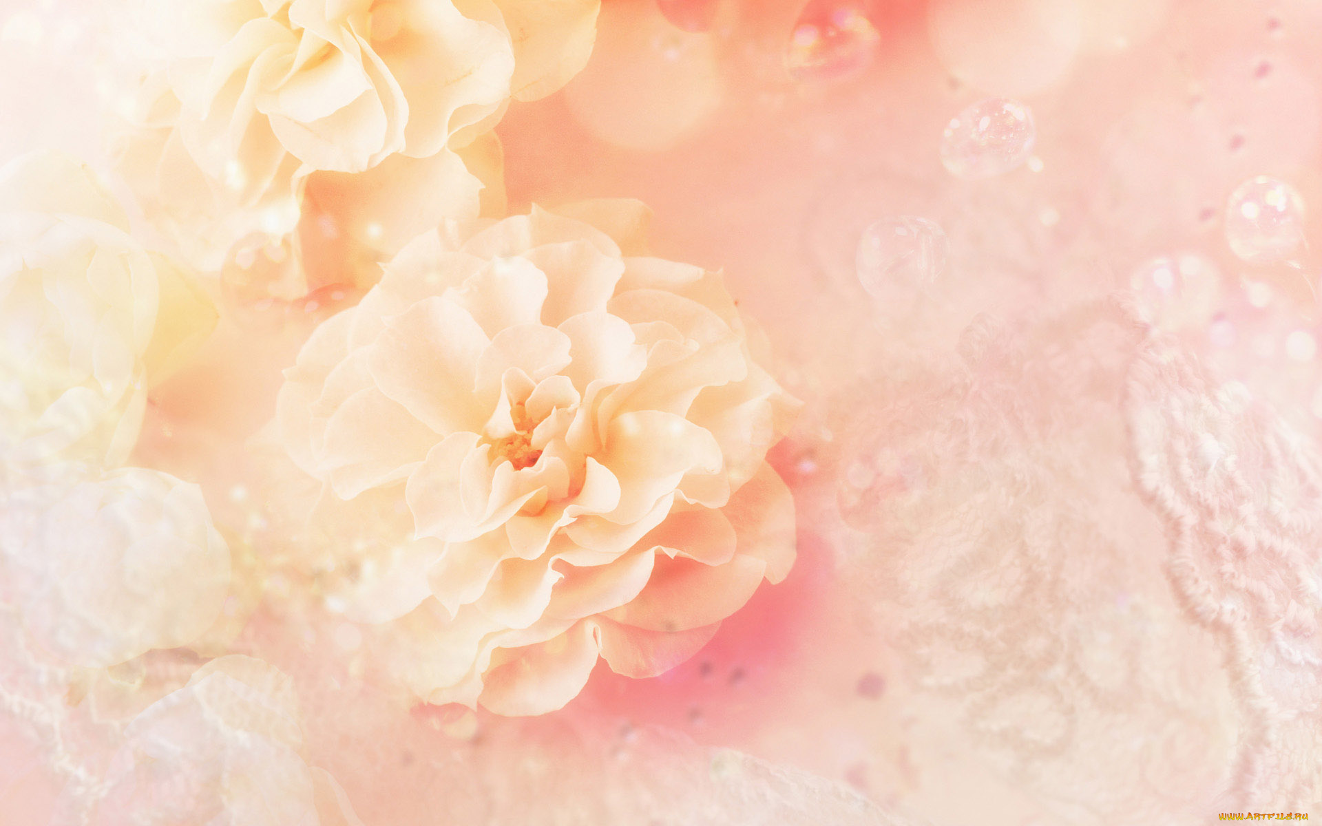 разное, компьютерный, дизайн, цветы, кружево