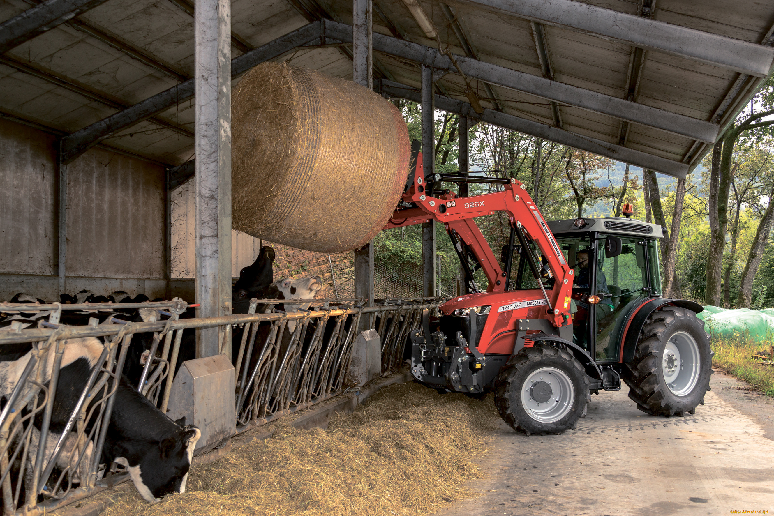 техника, фронтальные, погрузчики, massey, ferguson