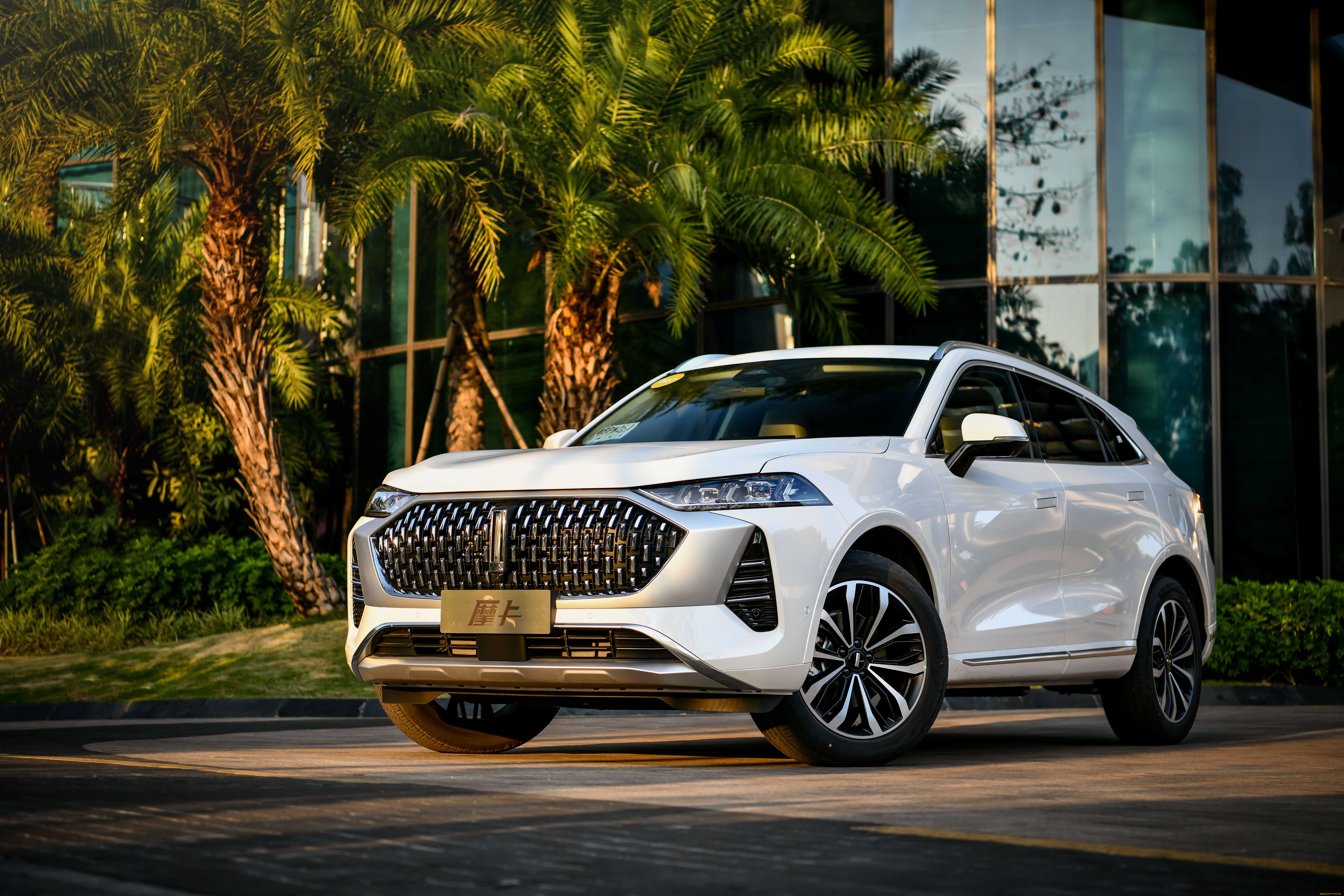 автомобили, wey