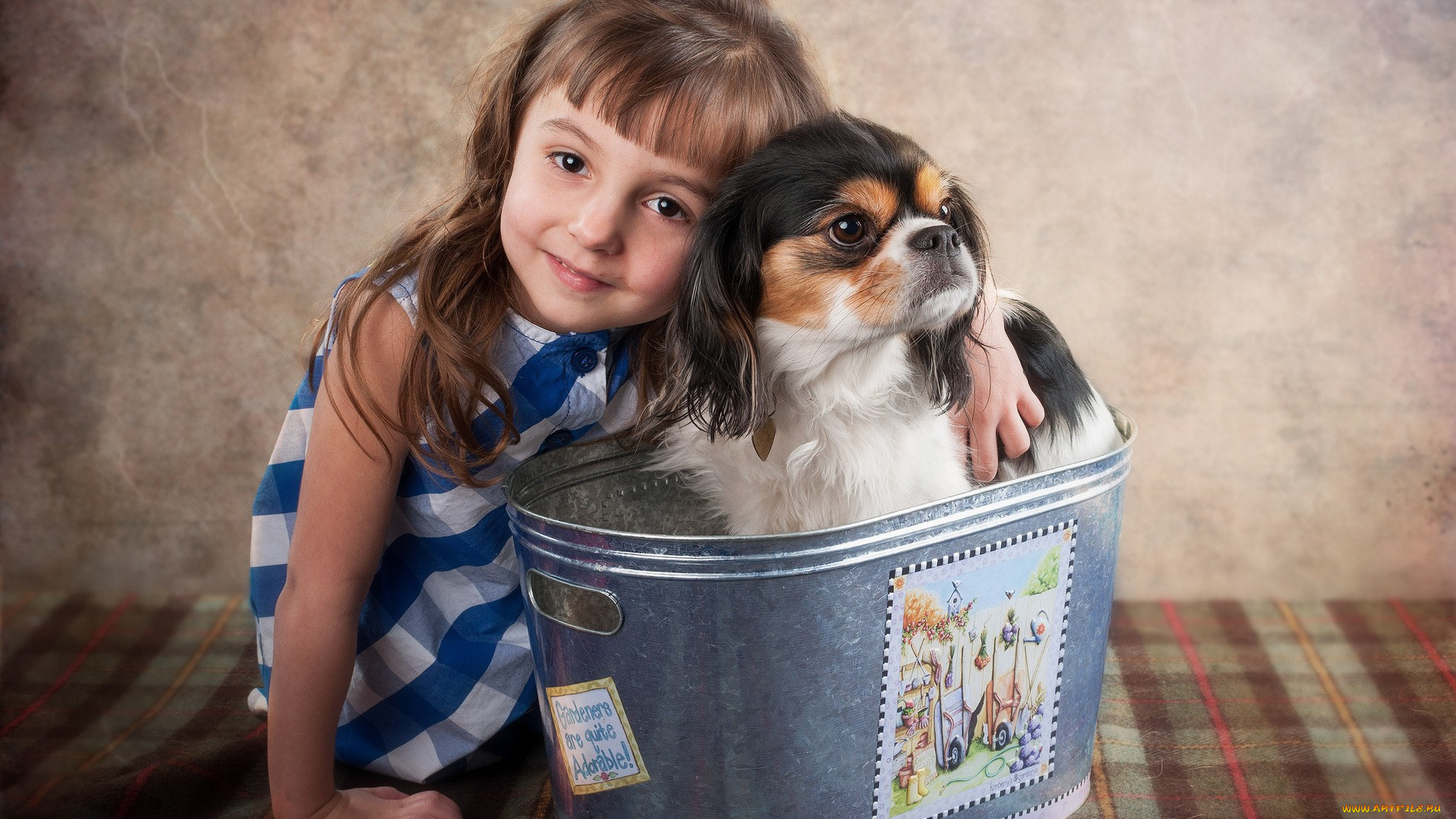 разное, люди, девочка, собака, ведро