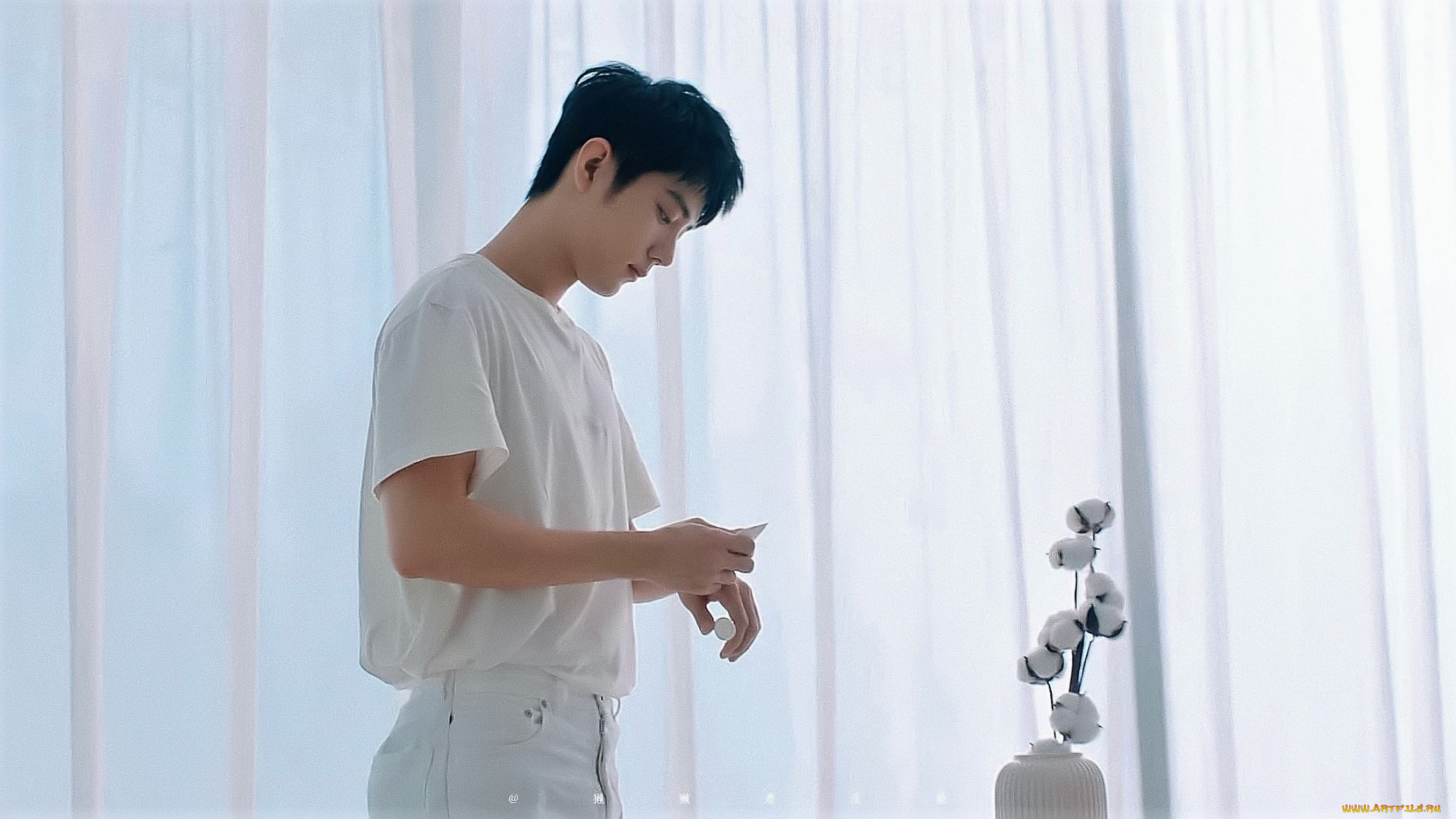 мужчины, xiao, zhan, актер, футболка, крем, цветы