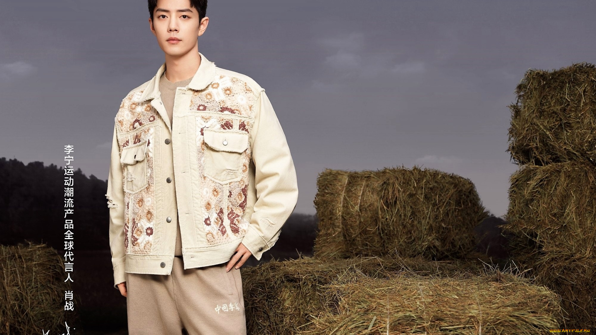 мужчины, xiao, zhan, актер, куртка, сено