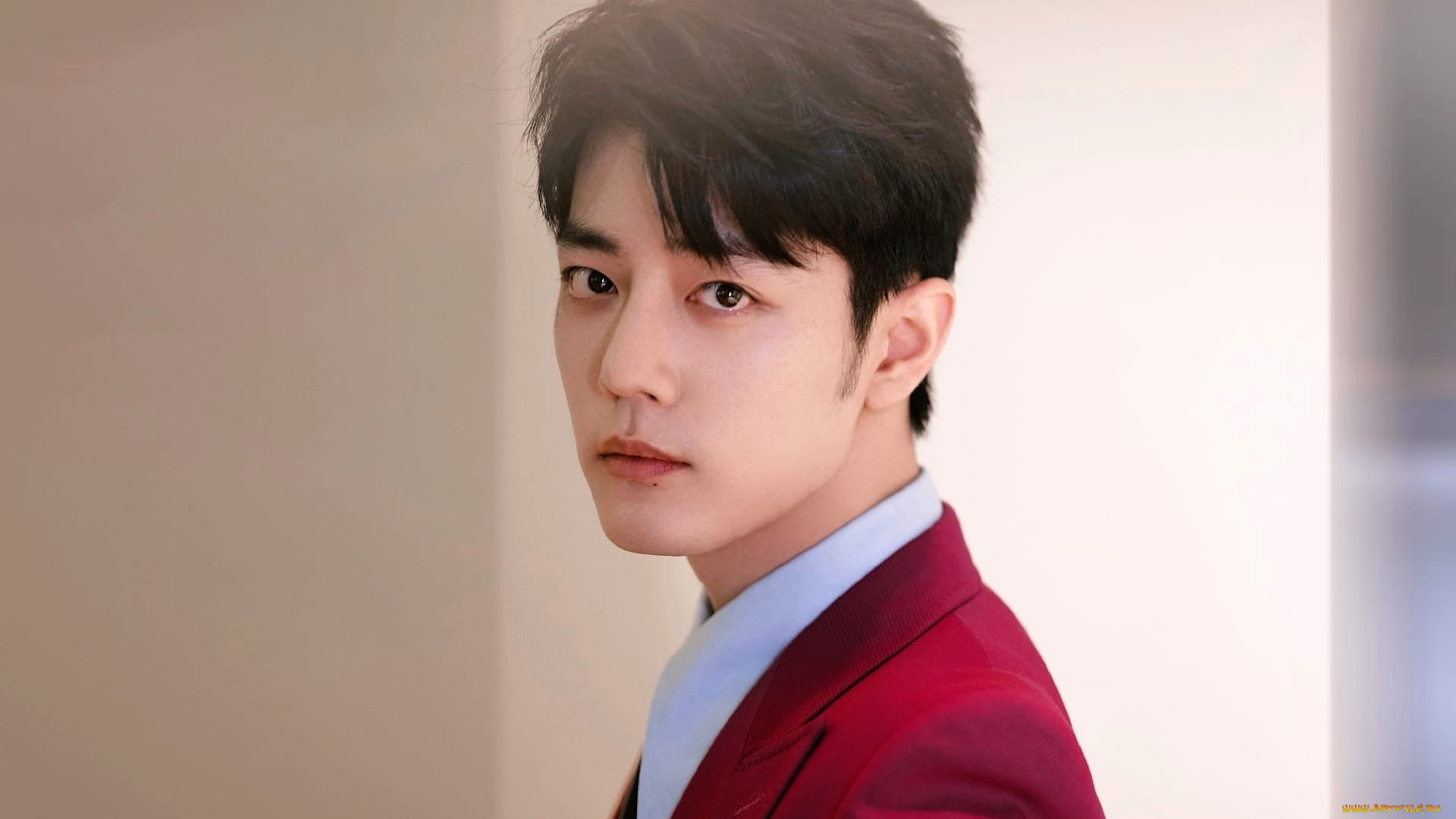 мужчины, xiao, zhan, актер, лицо, пиджак