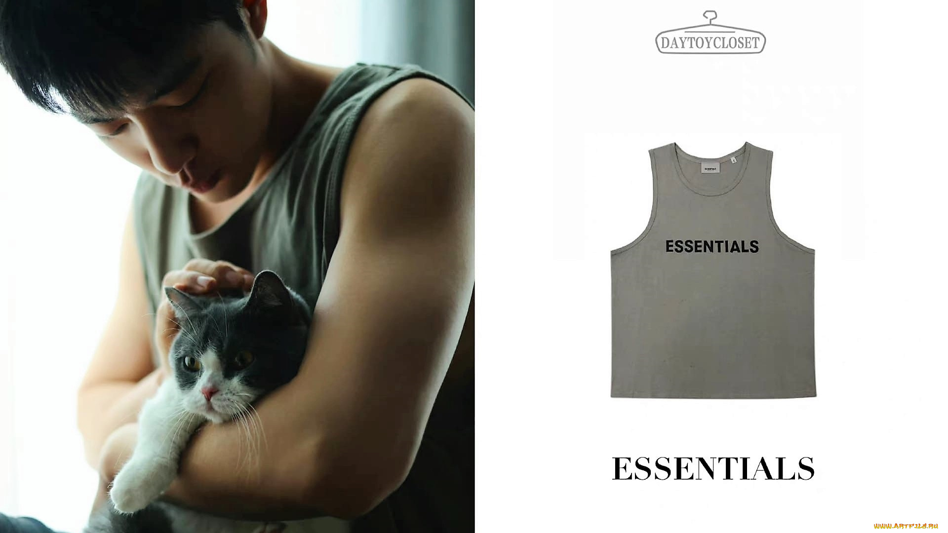 мужчины, xiao, zhan, актер, майка, кошка