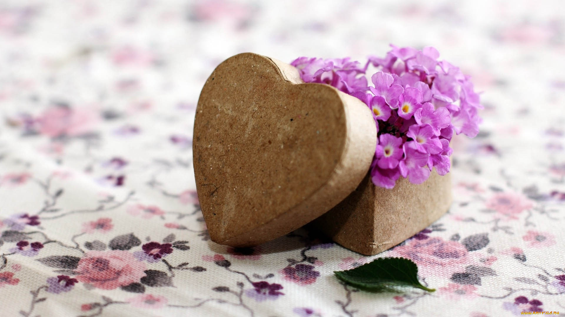 праздничные, день, святого, валентина, , сердечки, , любовь, цветы, коробка