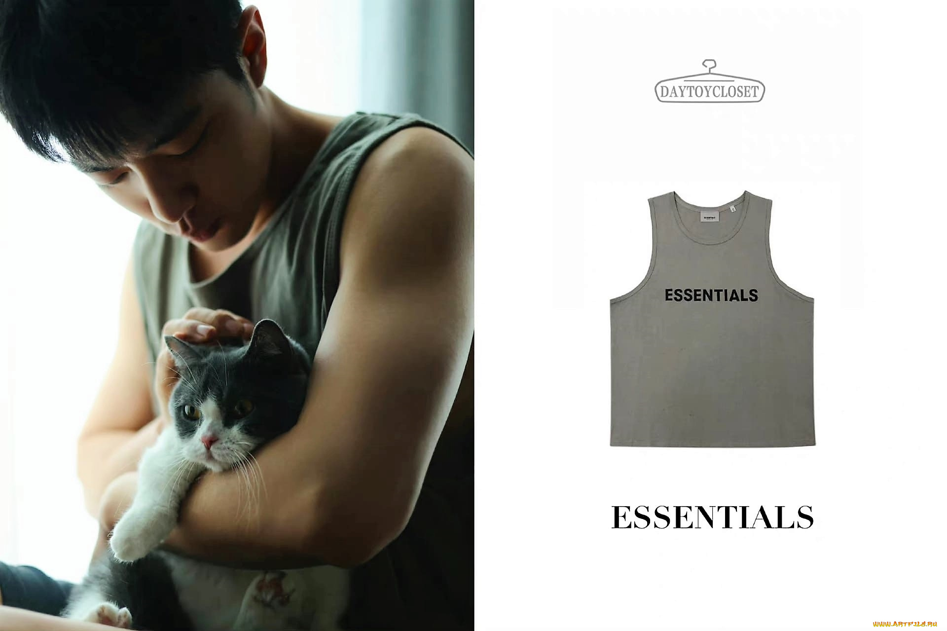 мужчины, xiao, zhan, актер, майка, кошка