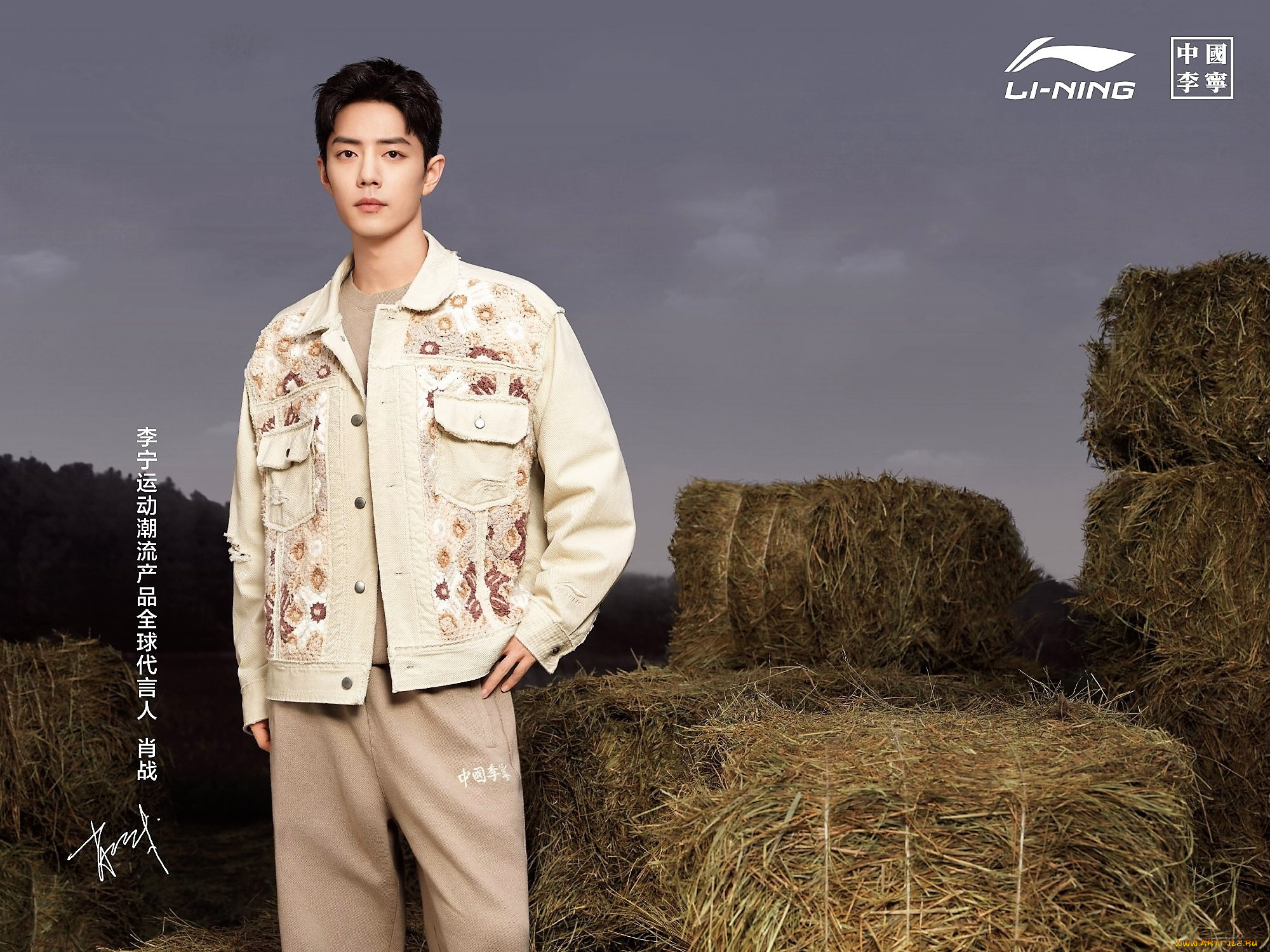 мужчины, xiao, zhan, актер, куртка, сено