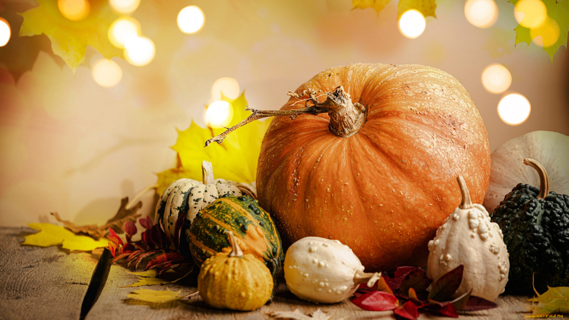 еда, тыква, тыквы