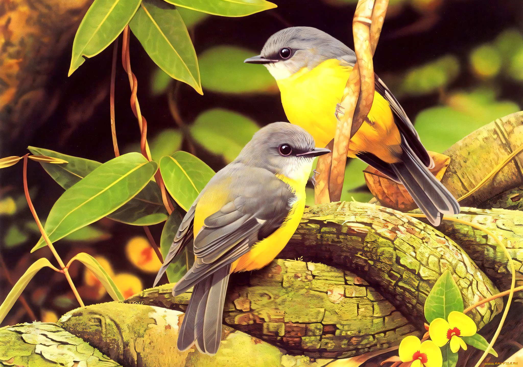 295469, рисованное, животные, , птицы, птички