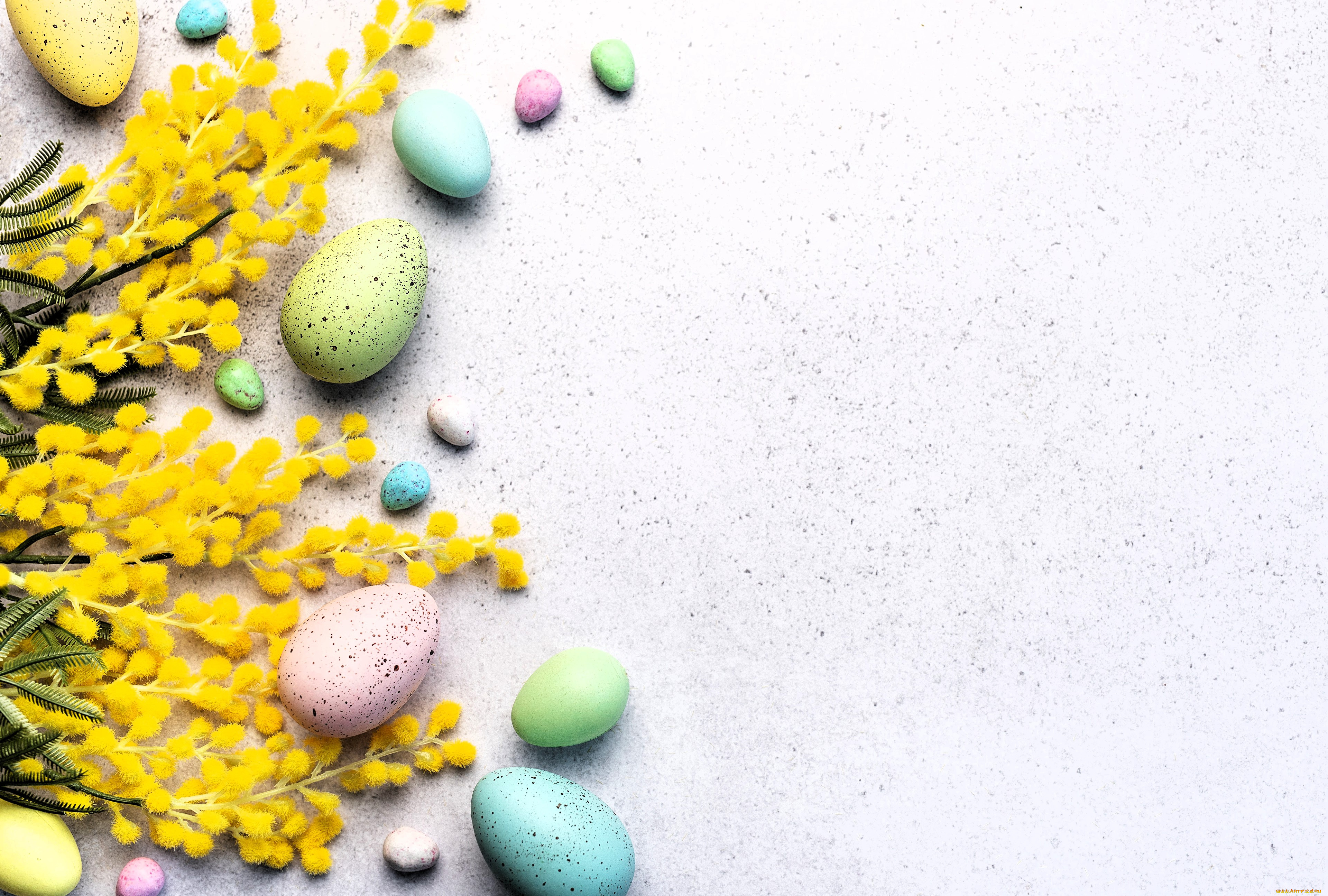 праздничные, пасха, мимоза, яйца