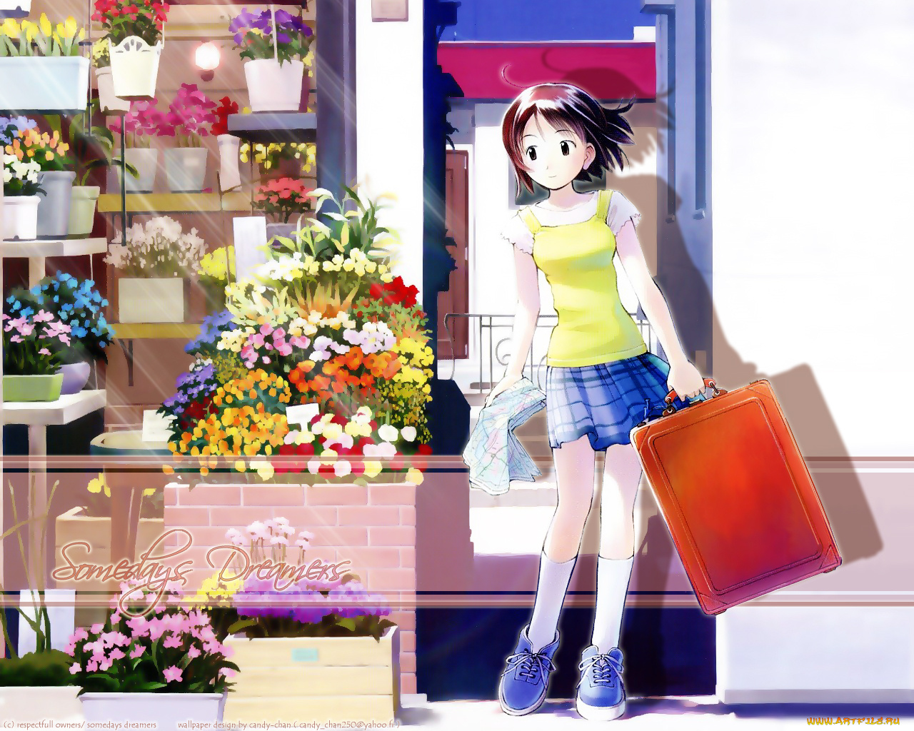 аниме, someday`s, dreamers