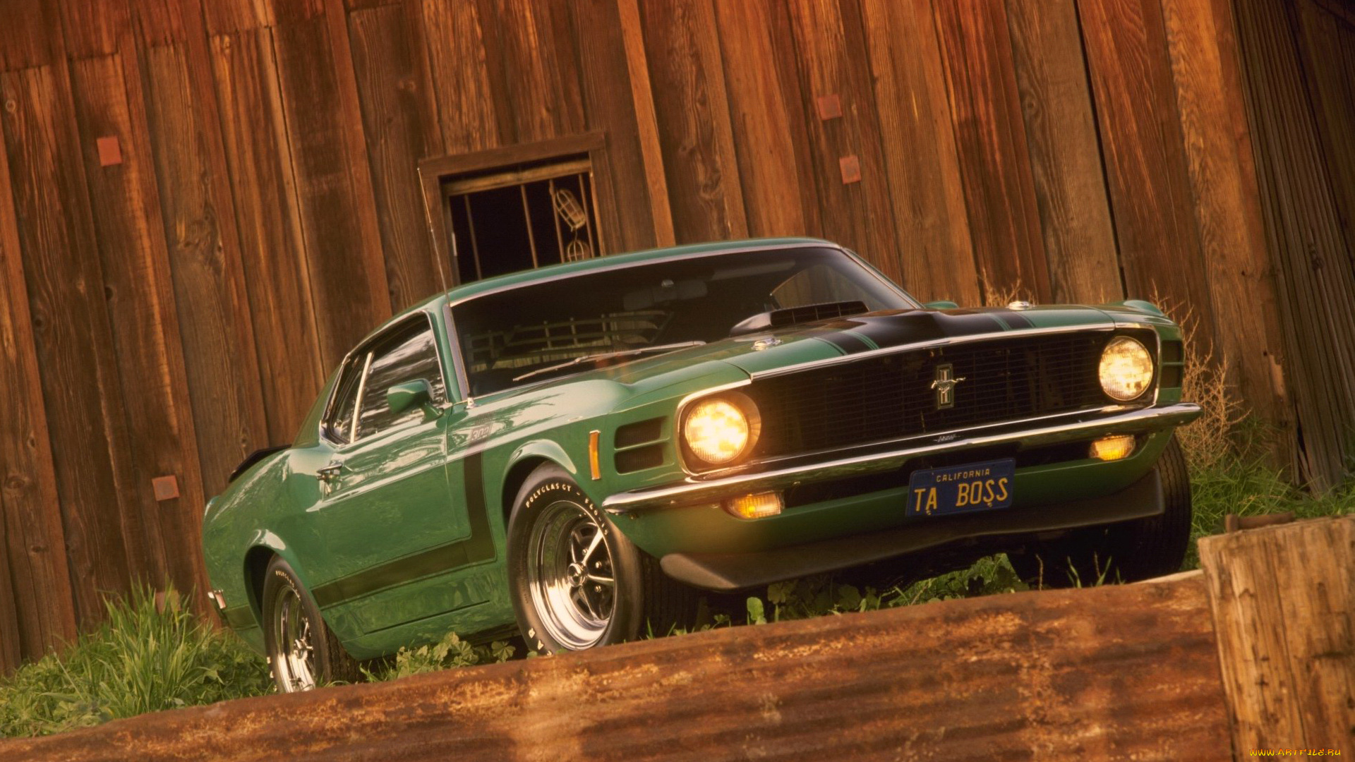 автомобили, mustang